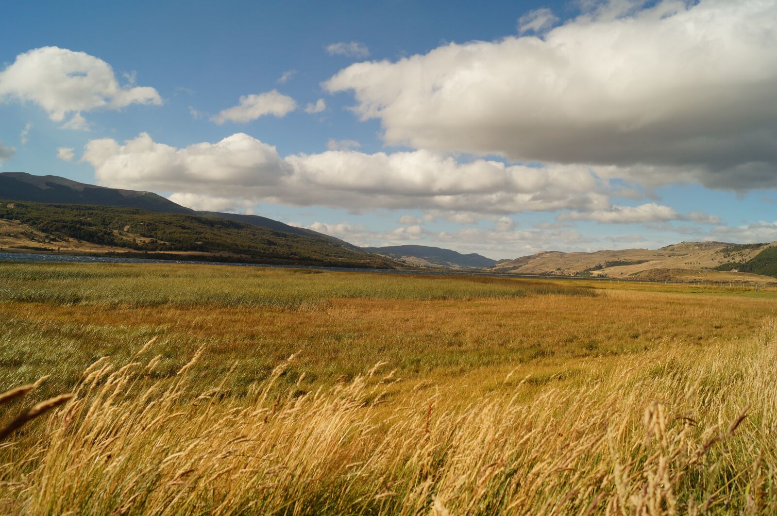 Sony SLT-A37 sample photo. Landscape, patagonia, chilean patagonia photography