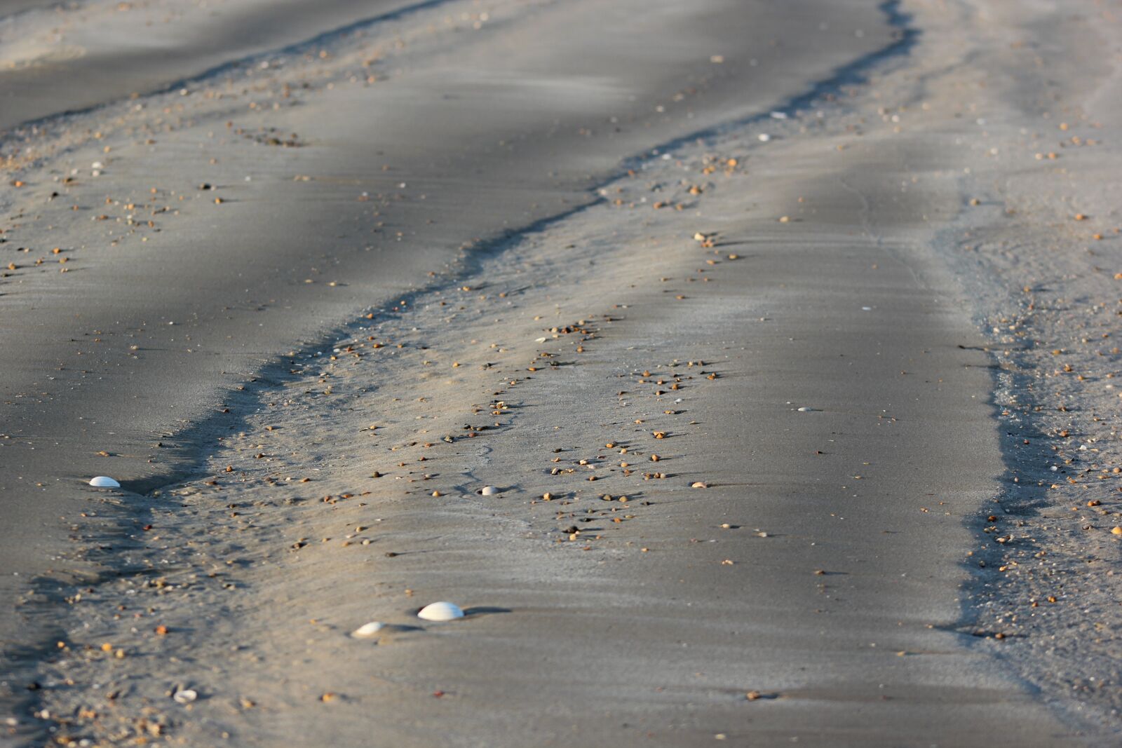 Canon EOS 550D (EOS Rebel T2i / EOS Kiss X4) sample photo. Sand, waves, beach photography