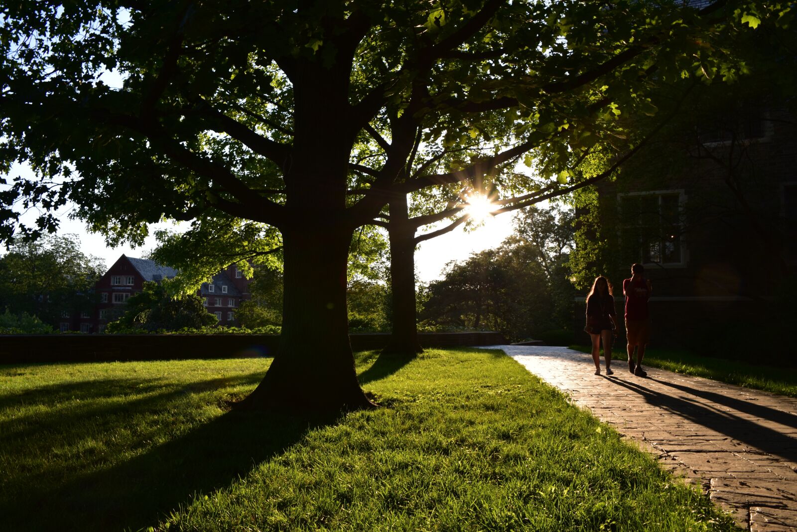 Nikon D810 sample photo. Cornell, american life, united photography