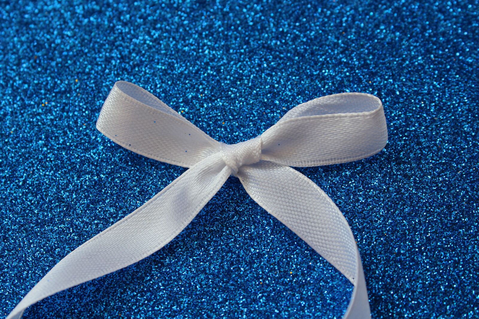 Canon EOS 1200D (EOS Rebel T5 / EOS Kiss X70 / EOS Hi) sample photo. Bow, the ceremony, the photography