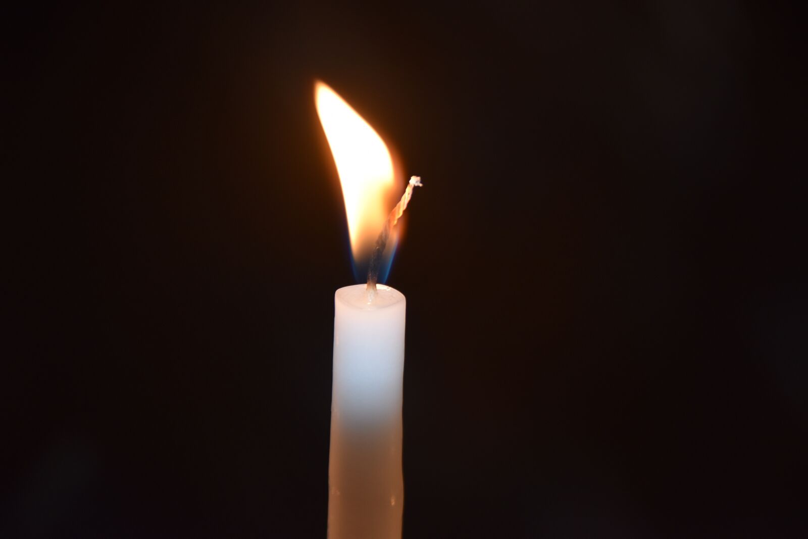 Nikon D5600 sample photo. Candle, flame, fire photography