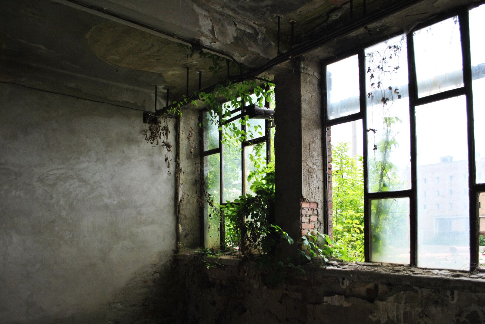 Nikon D3000 sample photo. Building, urbex, fracture photography