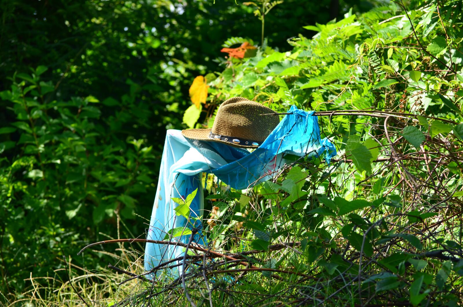Nikon D5100 sample photo. Nature, hat, summer photography