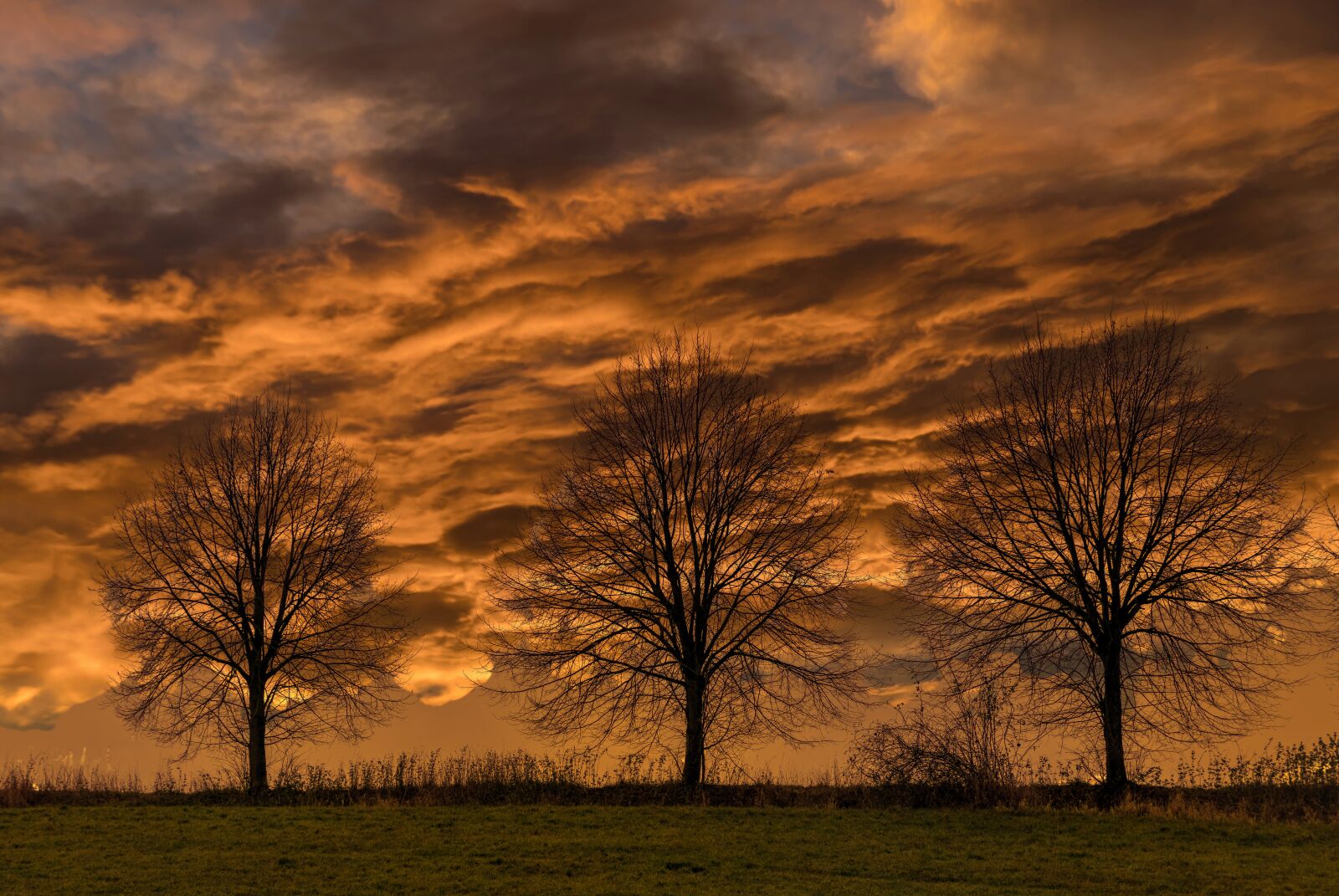 Tamron 28-300mm F3.5-6.3 Di VC PZD sample photo. Evening sky, trees, sunset photography