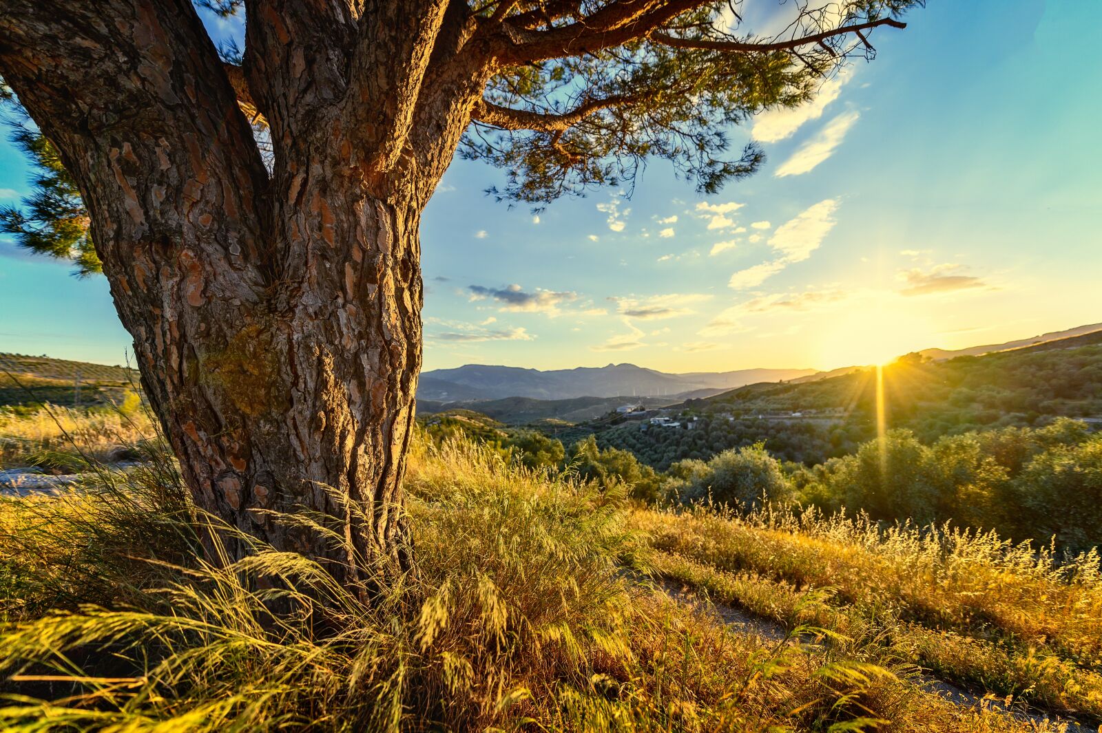 Nikon Z6 sample photo. Sunset, landscape, romantic photography
