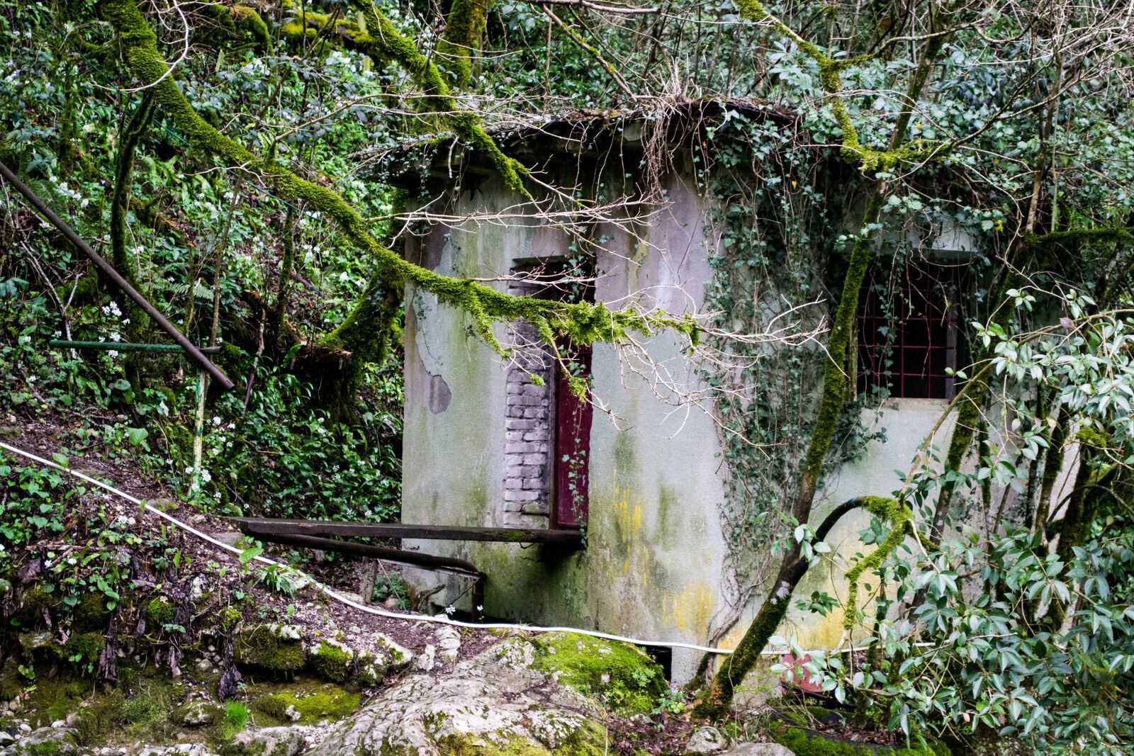 Nikon D3100 sample photo. The abandoned, building, the photography