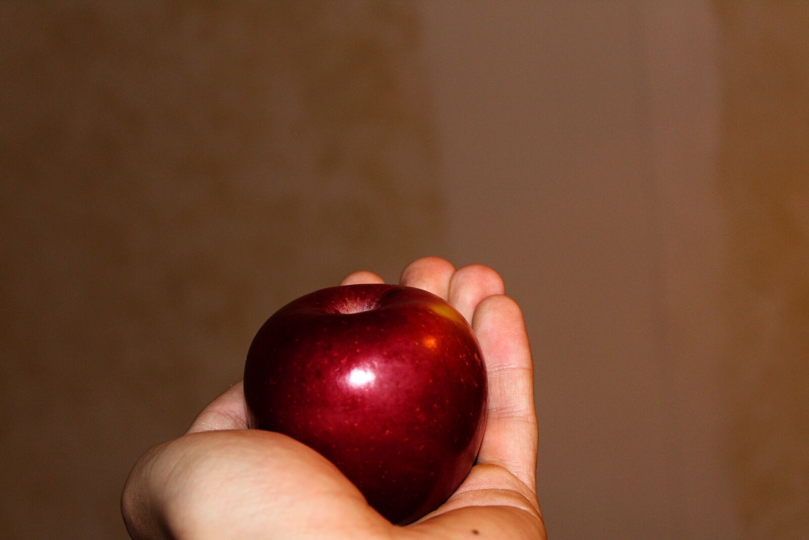 Canon EOS 1200D (EOS Rebel T5 / EOS Kiss X70 / EOS Hi) sample photo. Apple, give, here, red photography