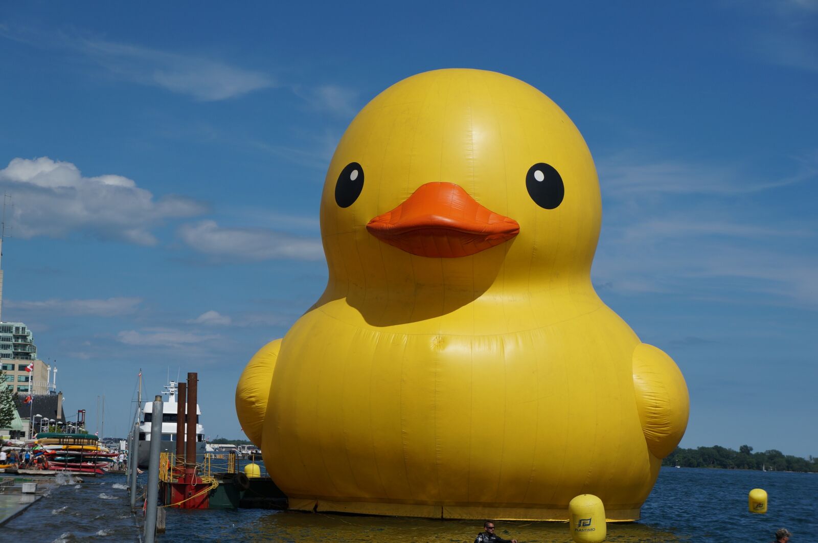Sony Alpha NEX-5R + Sony E 18-55mm F3.5-5.6 OSS sample photo. Toronto, rubber, duck photography