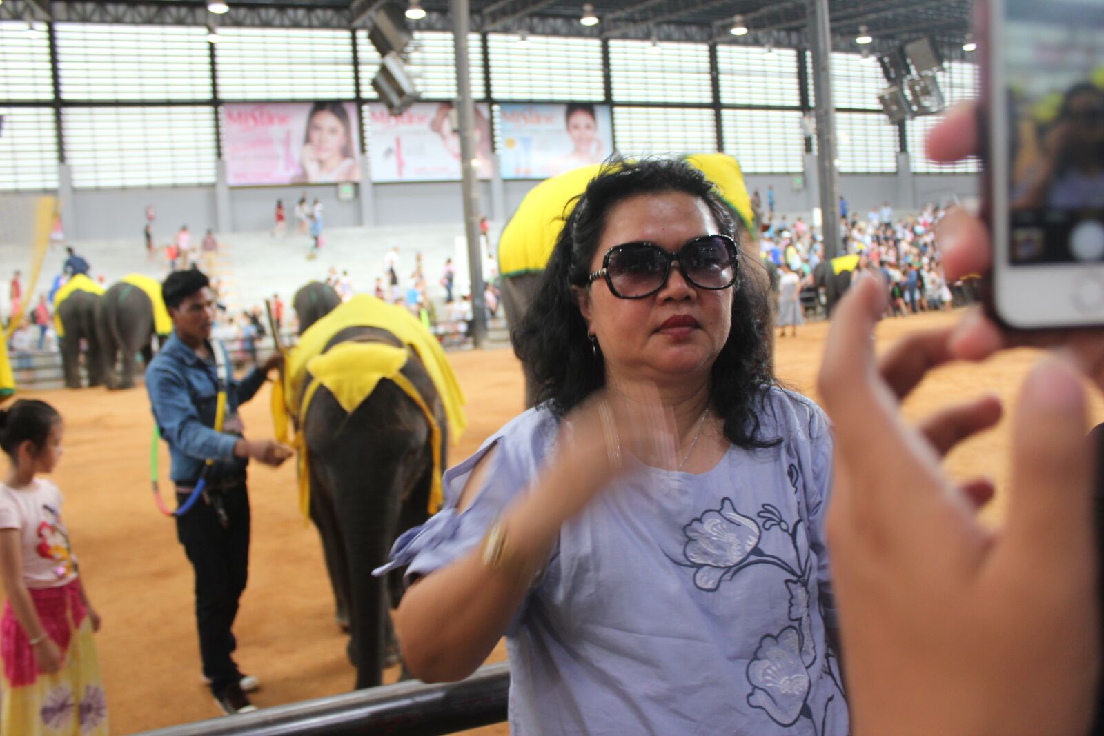 Canon EOS 550D (EOS Rebel T2i / EOS Kiss X4) sample photo. Wonderfull, elephant, thailand photography