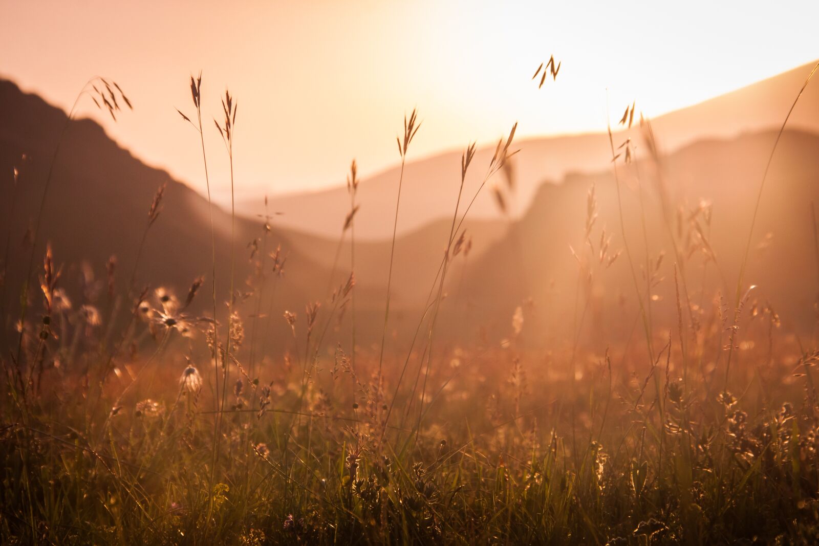 Canon EOS 500D (EOS Rebel T1i / EOS Kiss X3) sample photo. The caucasus, nature, landscape photography