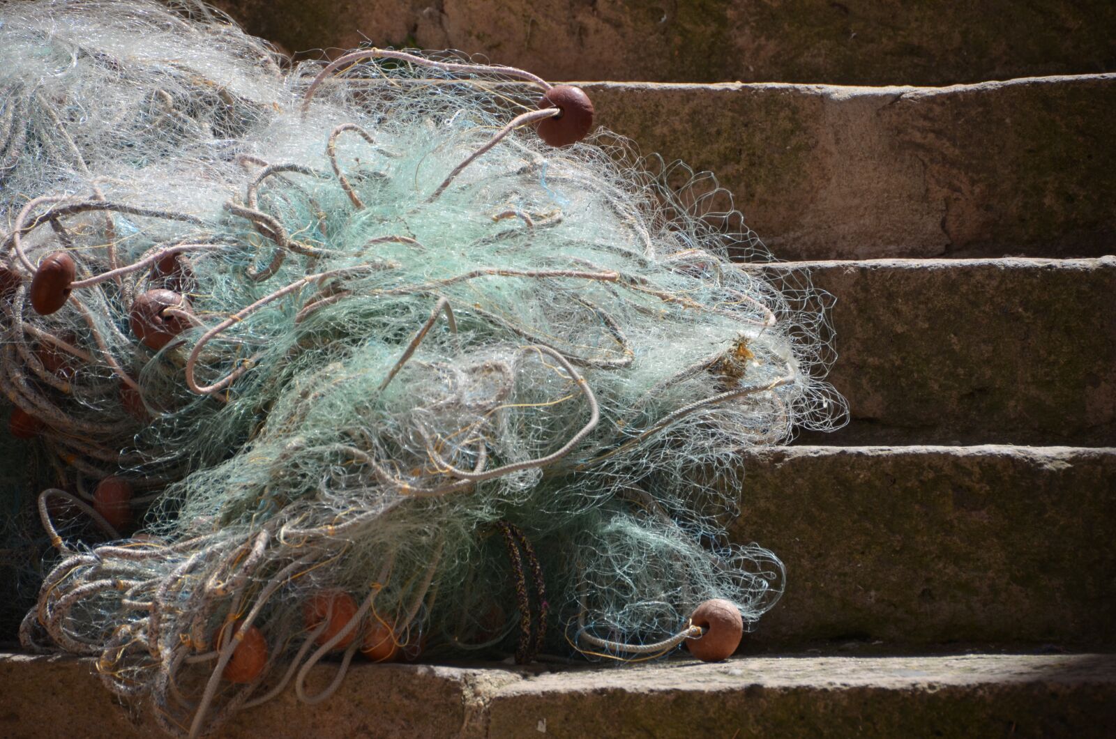 Nikon D5100 sample photo. Nature, network, rest photography