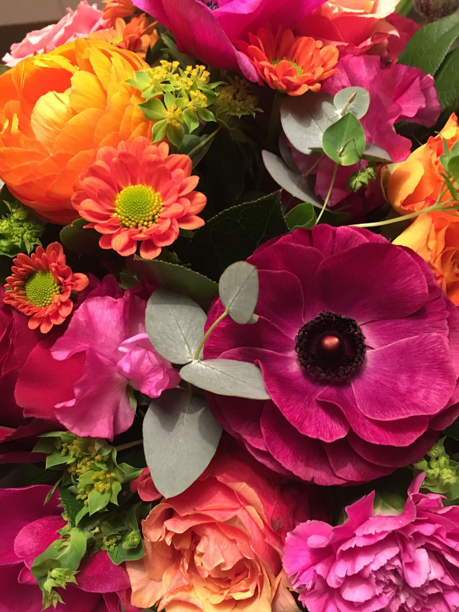 Apple iPhone 6s sample photo. Flower, floral, flora photography