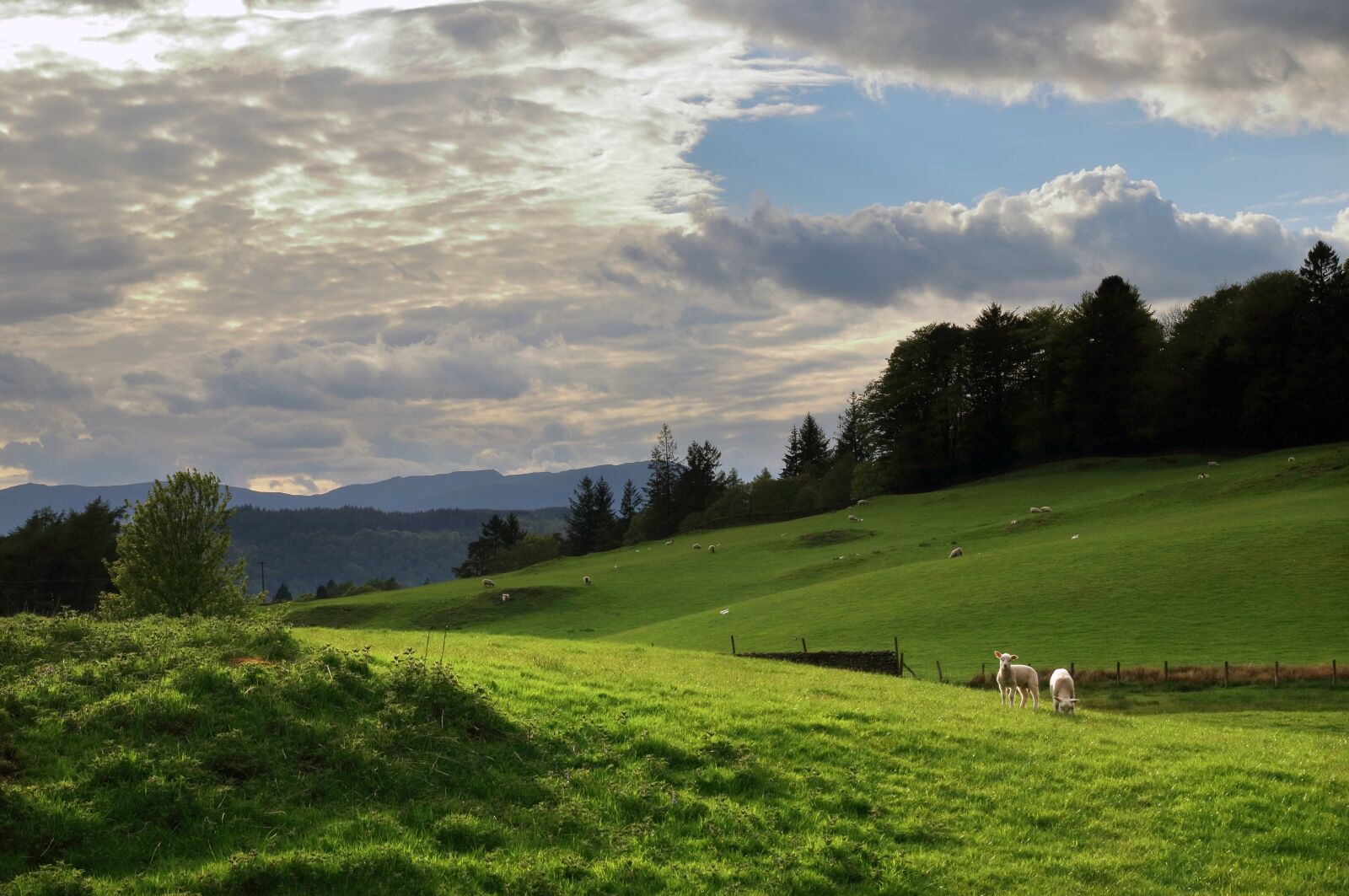 Canon EOS 80D sample photo. Lake district, rural, scene photography