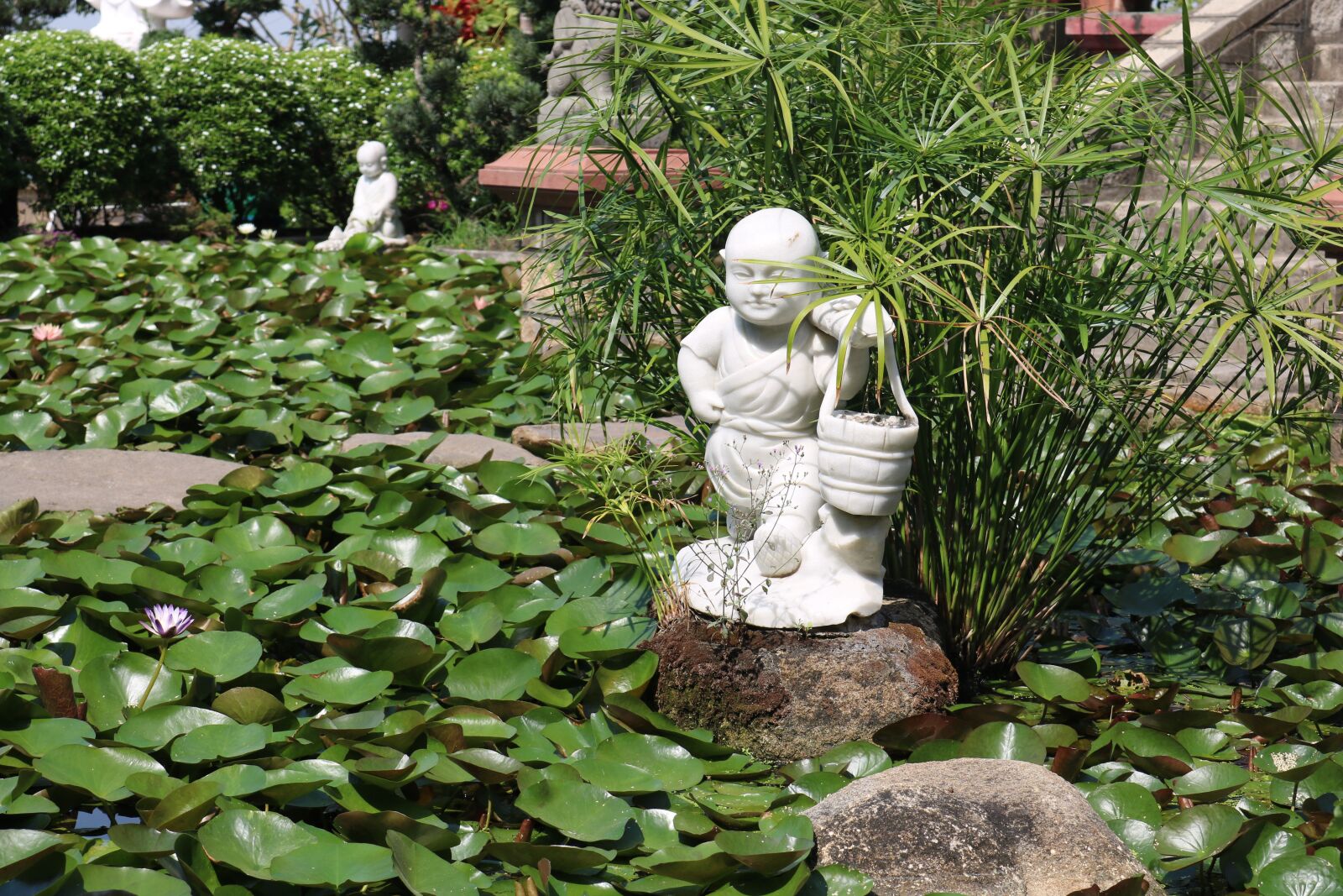 Canon EOS 750D (EOS Rebel T6i / EOS Kiss X8i) sample photo. Flowers, nature, greenery photography