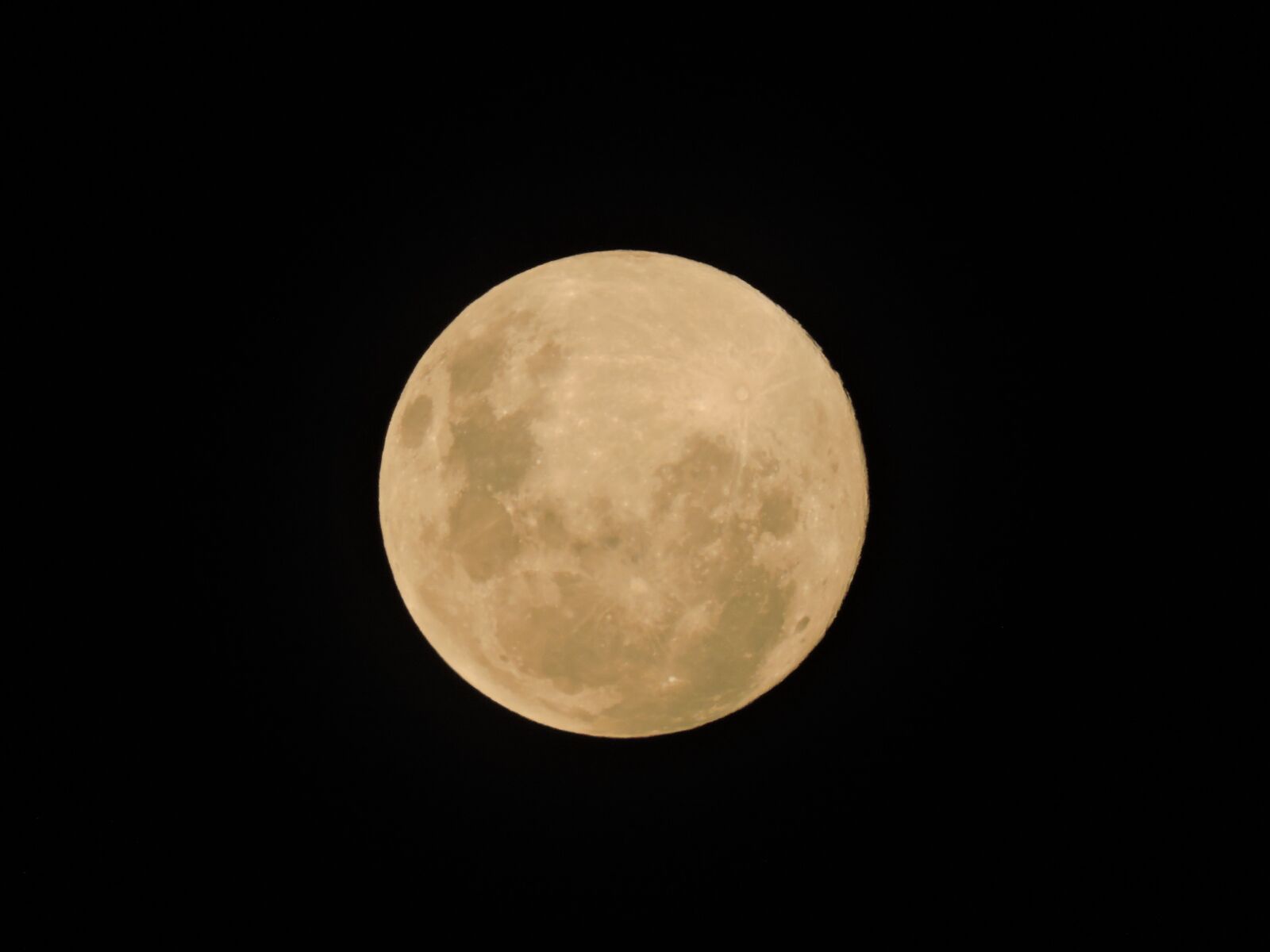 Nikon Coolpix P600 sample photo. Super moon, moon, february photography