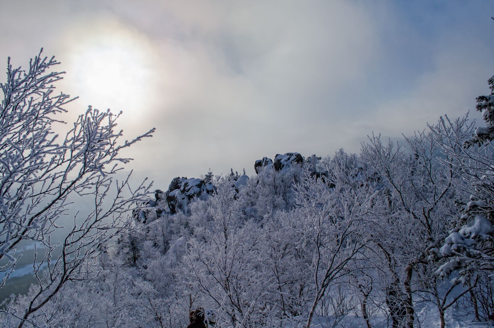 Nikon D5000 sample photo. Winter, snow, coldly photography