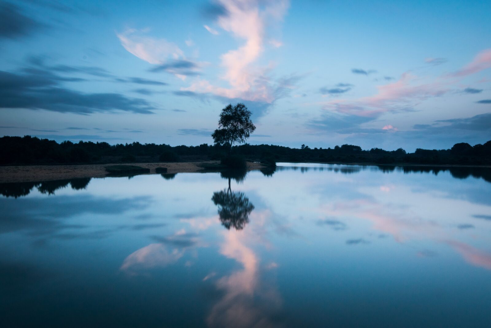 Tokina AT-X Pro 11-16mm F2.8 DX II sample photo. Sunset, tree, sky photography