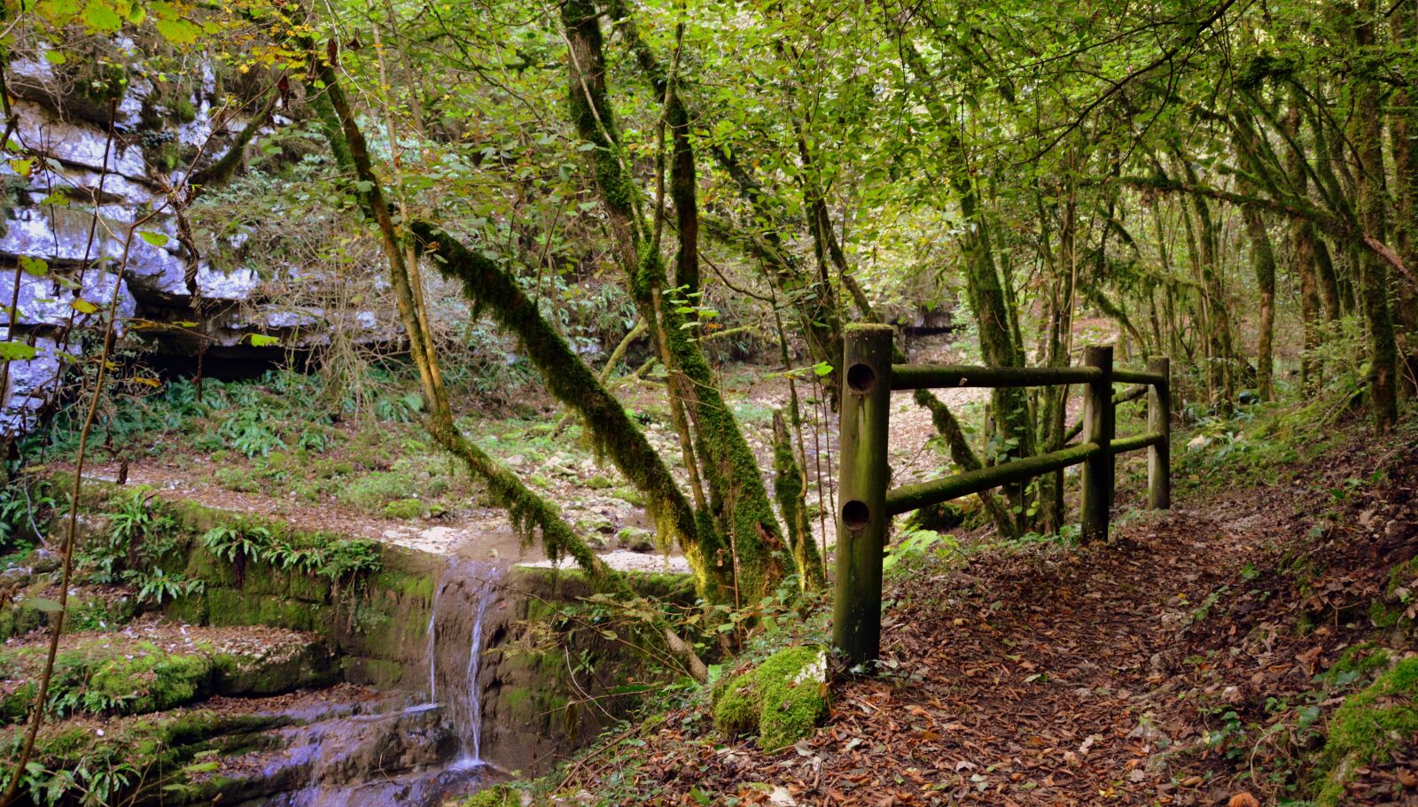 Nikon D7100 sample photo. Forest, waterfall, fence photography
