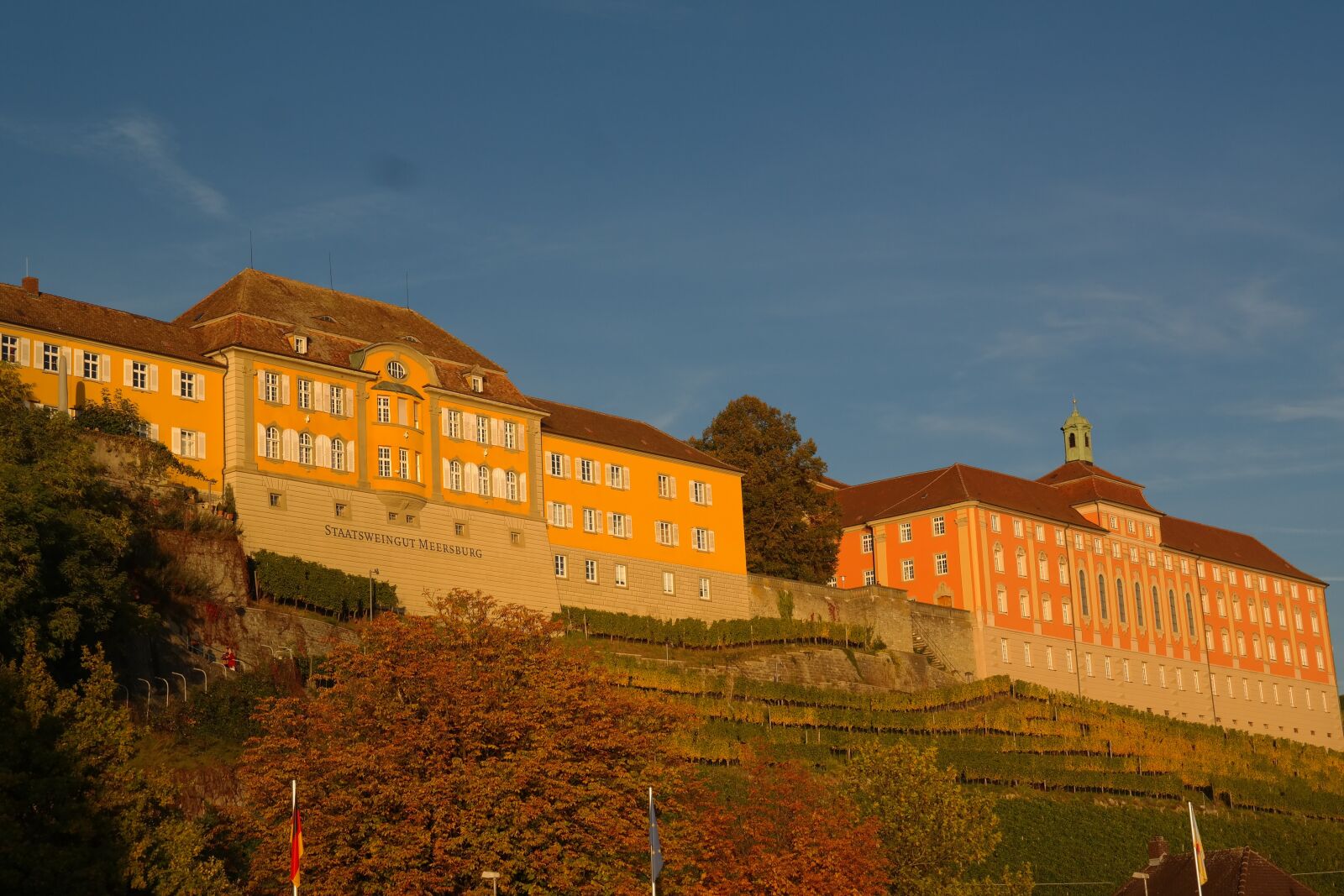 Samsung NX300 sample photo. Meersburg, state winery, winery photography