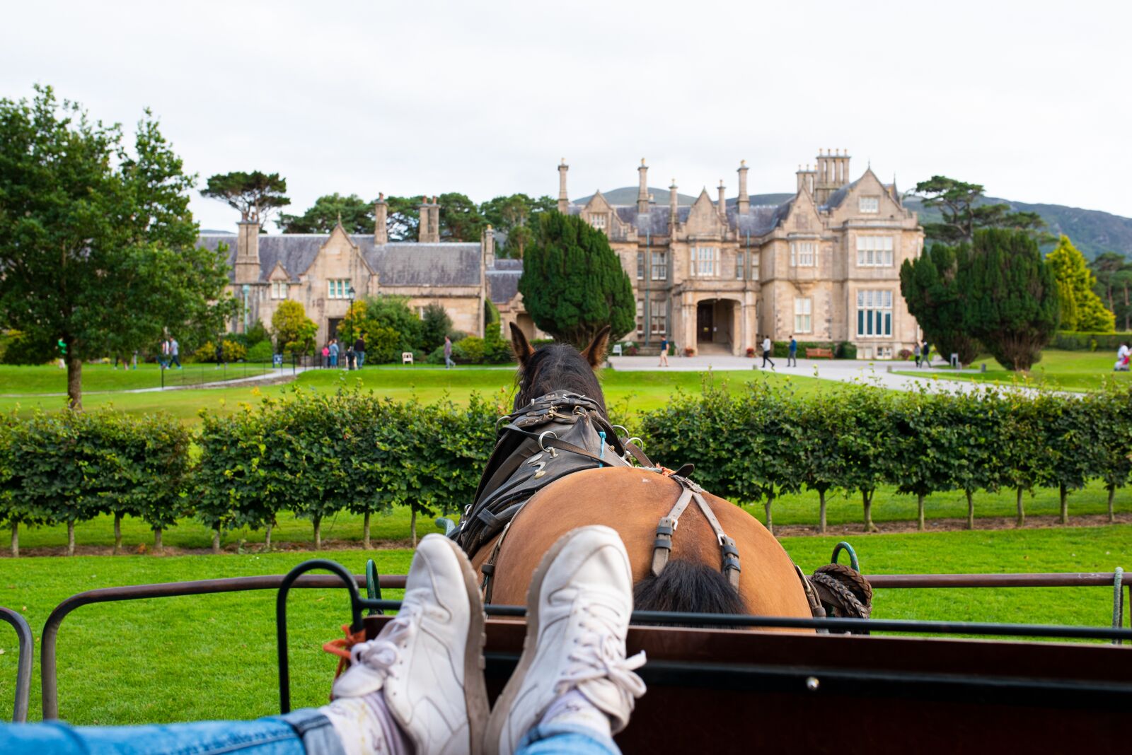 Nikon D750 sample photo. Equestrian, ride, horse photography