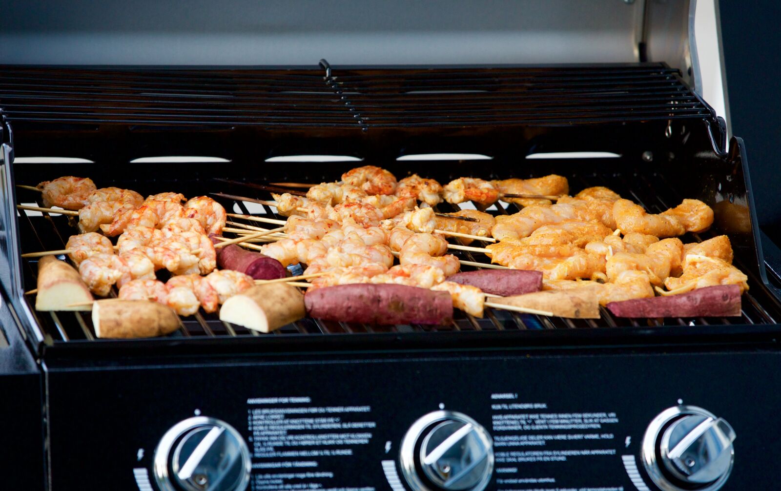 Canon EOS 5D Mark III sample photo. Grilling, oven, barbecue photography