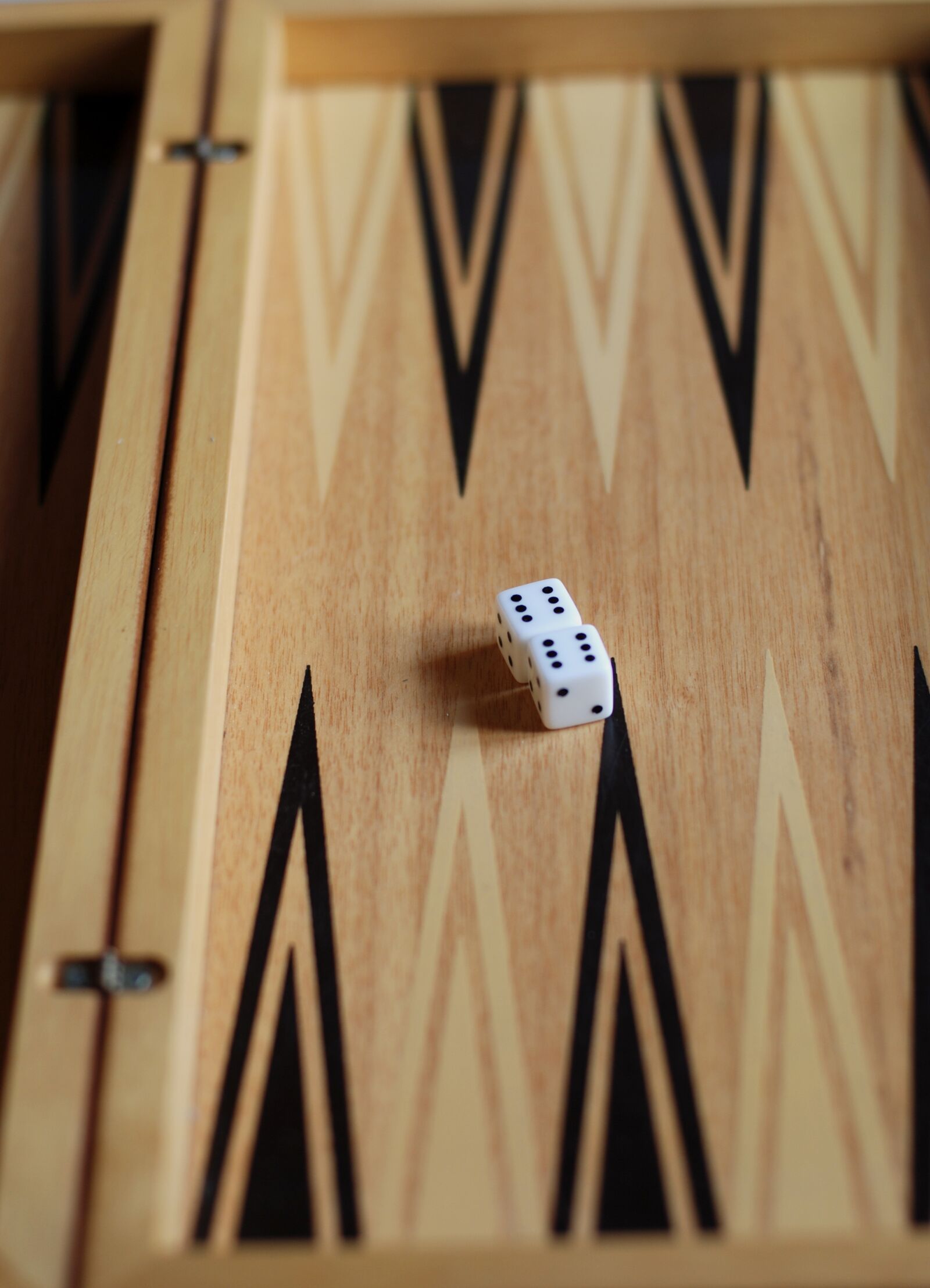 Nikon D80 sample photo. Backgammon, game, dice photography