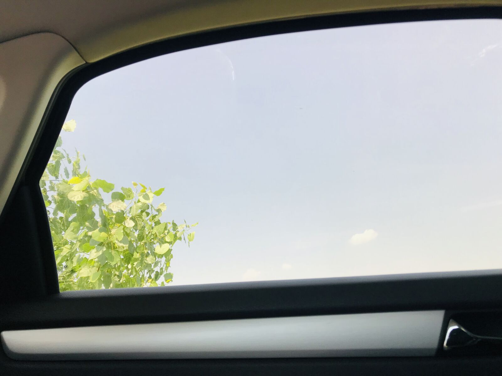 iPhone 7 back camera 3.99mm f/1.8 sample photo. Car, tree, travel photography