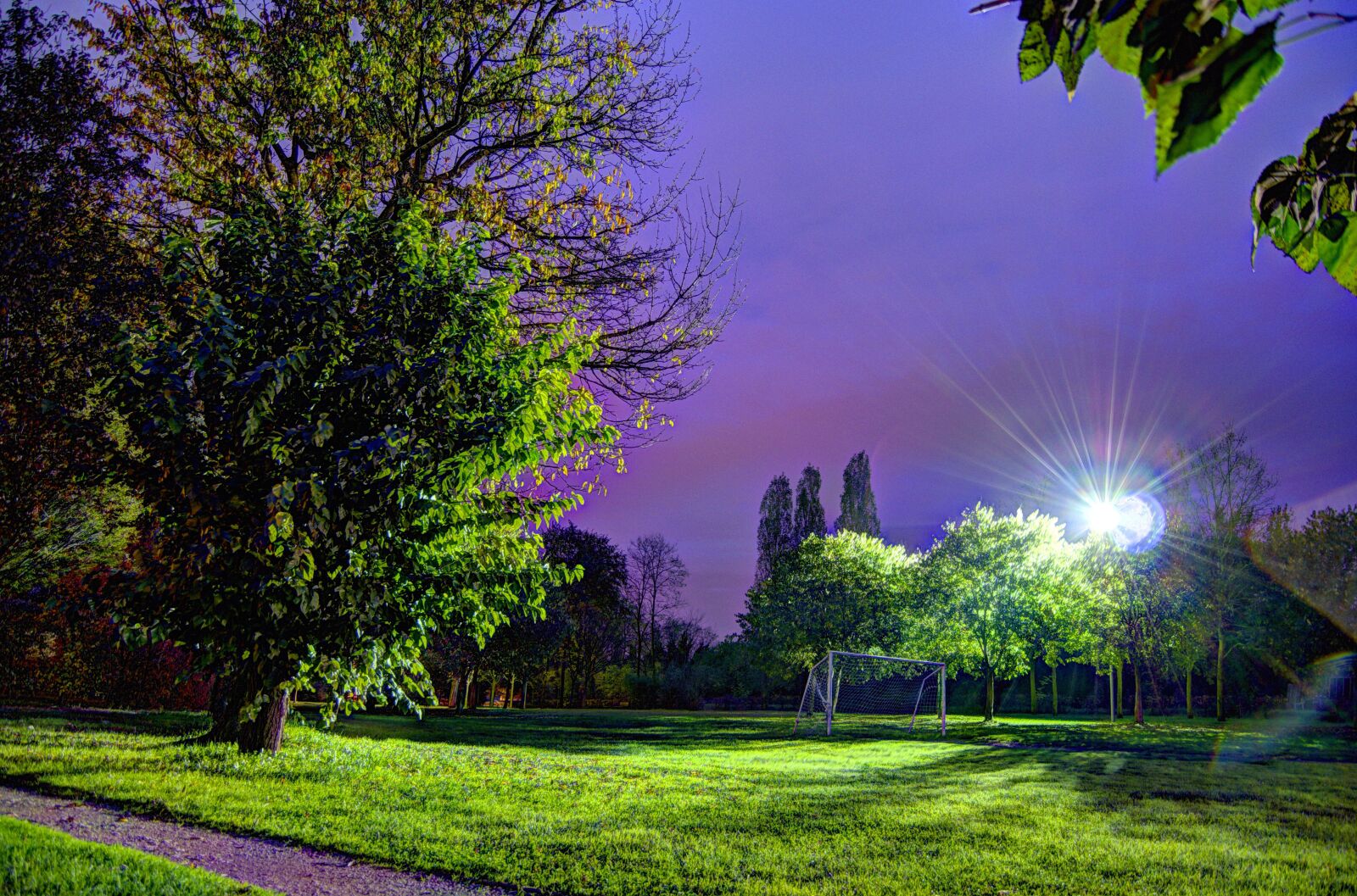 Nikon D5100 sample photo. Twilight, sky, trees photography