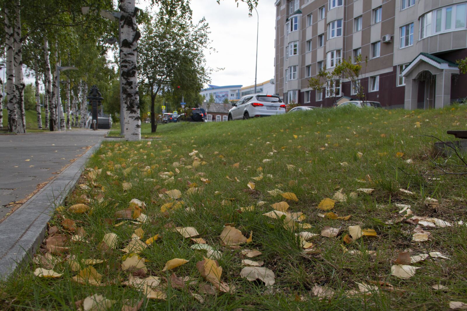 Canon EOS 70D sample photo. "Leaves, grass, alley" photography