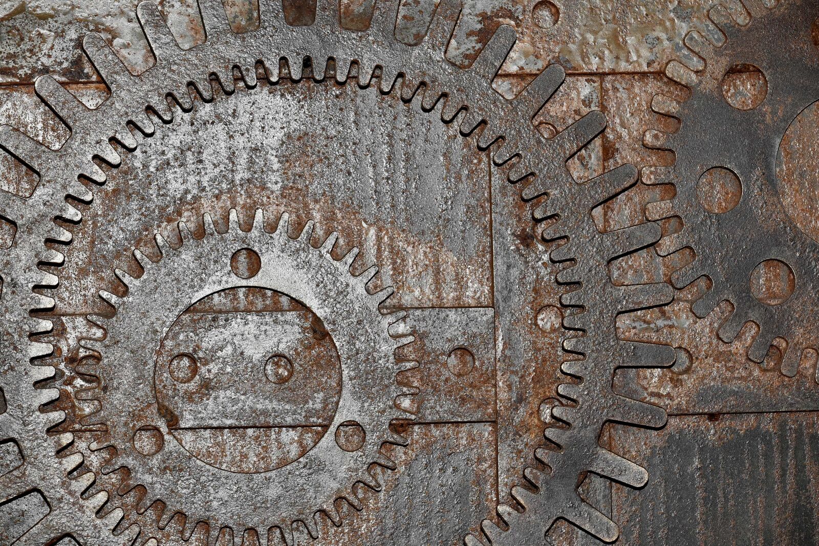 Nikon D5500 sample photo. Gear, metal, old, hole photography