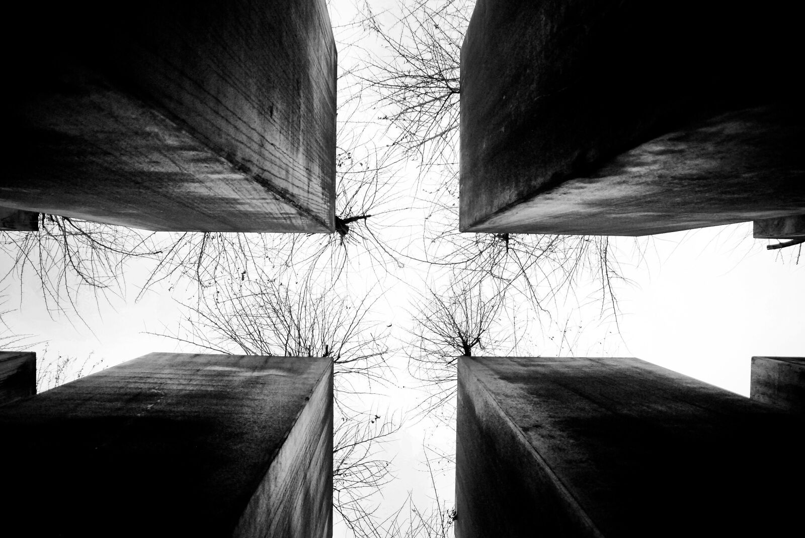 Nikon D80 sample photo. J disches museum berlin photography