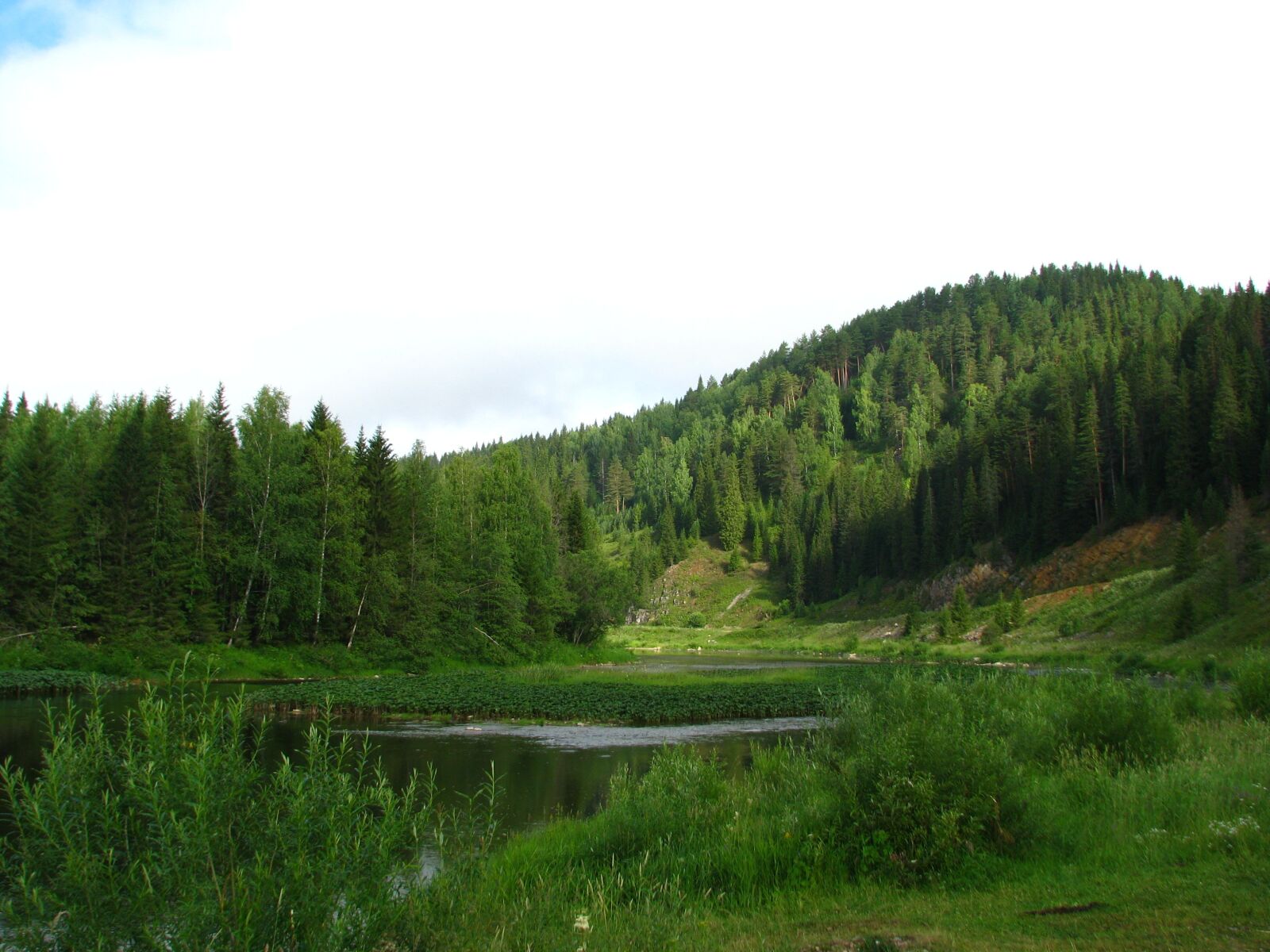 Canon POWERSHOT S5 IS sample photo. Forest, mountain, nature photography