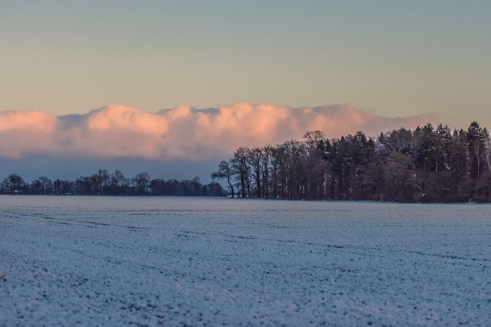 Nikon AF-S Nikkor 70-200mm F2.8G ED VR II sample photo. Clouds, forest, nature, winter photography
