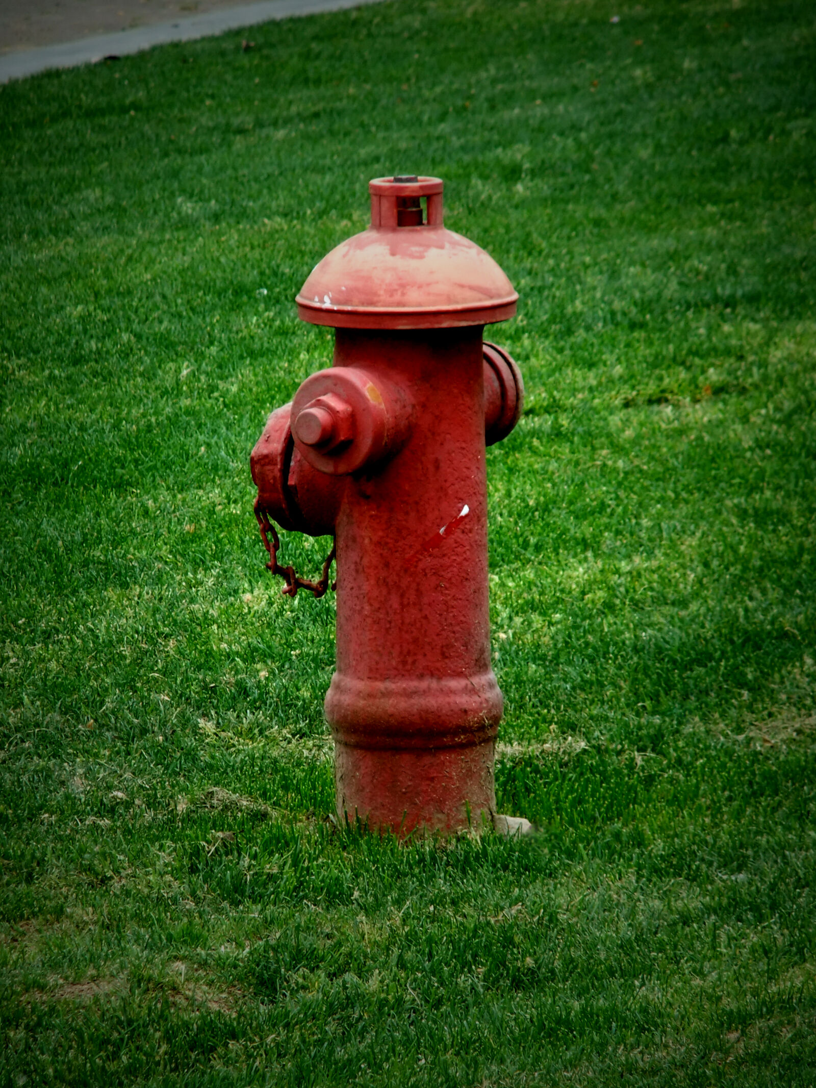 FujiFilm FinePix F70EXR (FinePix F75EXR) sample photo. Hydrant photography