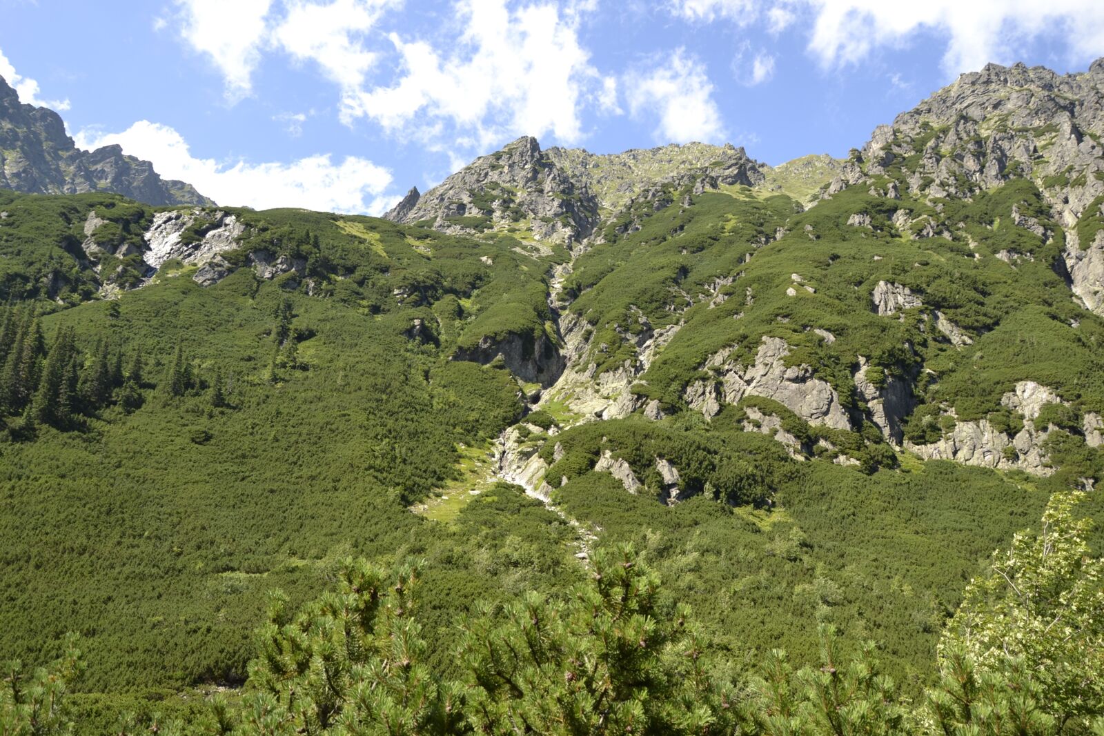 Nikon D3100 sample photo. Mountains, buried, valley of photography