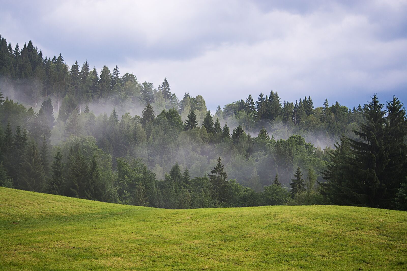 Nikon D7100 sample photo. Landscape, nature, meadow photography