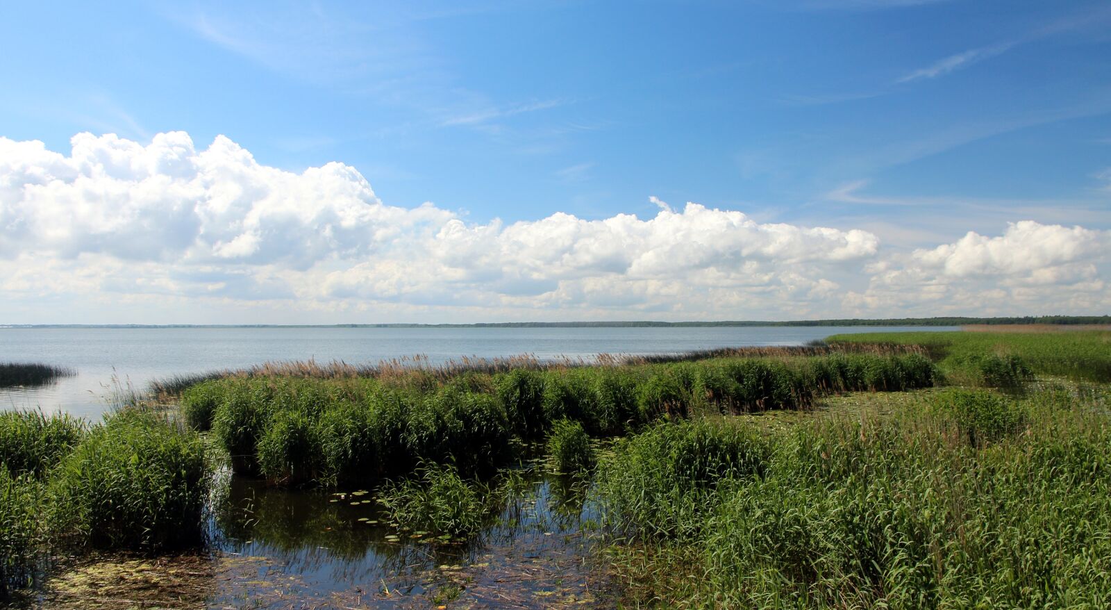 Canon EOS 650D (EOS Rebel T4i / EOS Kiss X6i) sample photo. Reed, river, beach photography