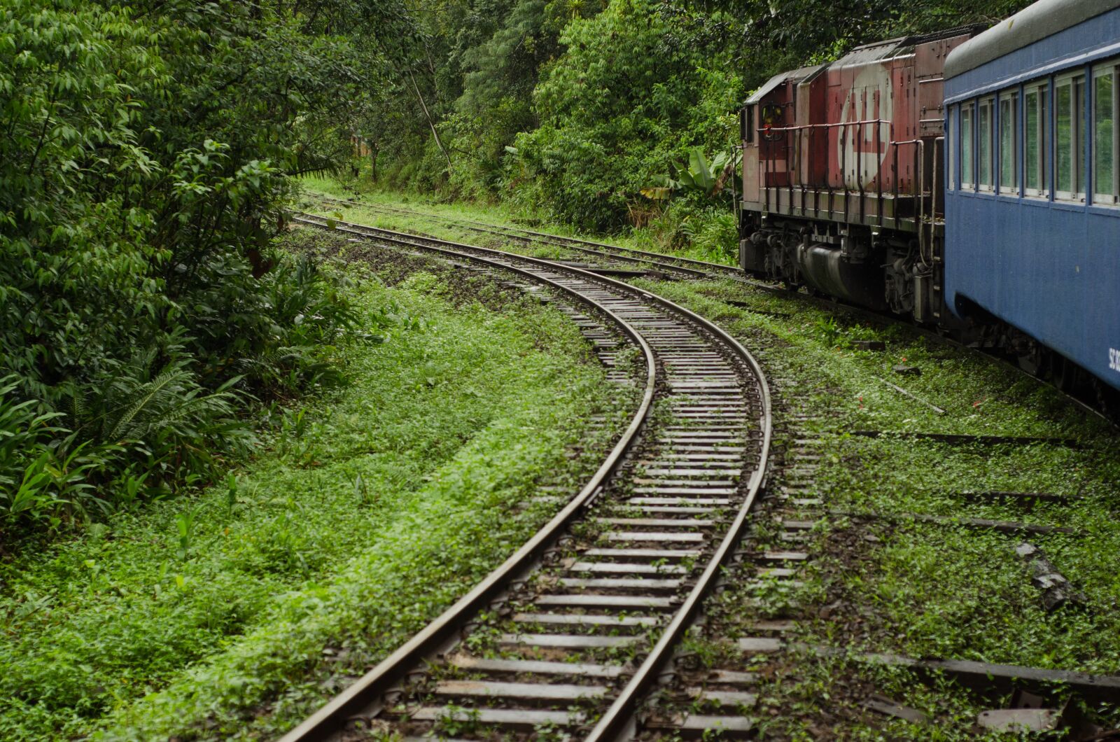 Nikon D7000 sample photo. Train, curitiba, morretes photography