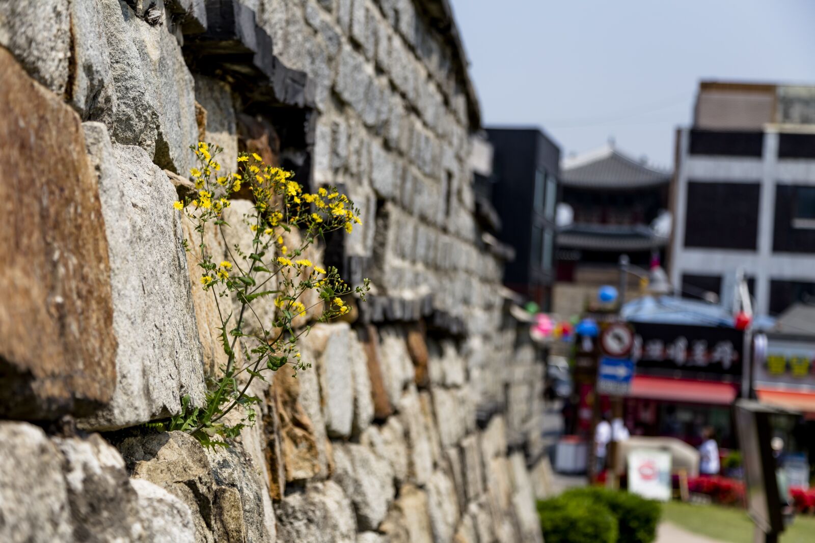 Canon EOS 6D + Canon EF 24-105mm F4L IS USM sample photo. Paldalmun gate, south gate photography