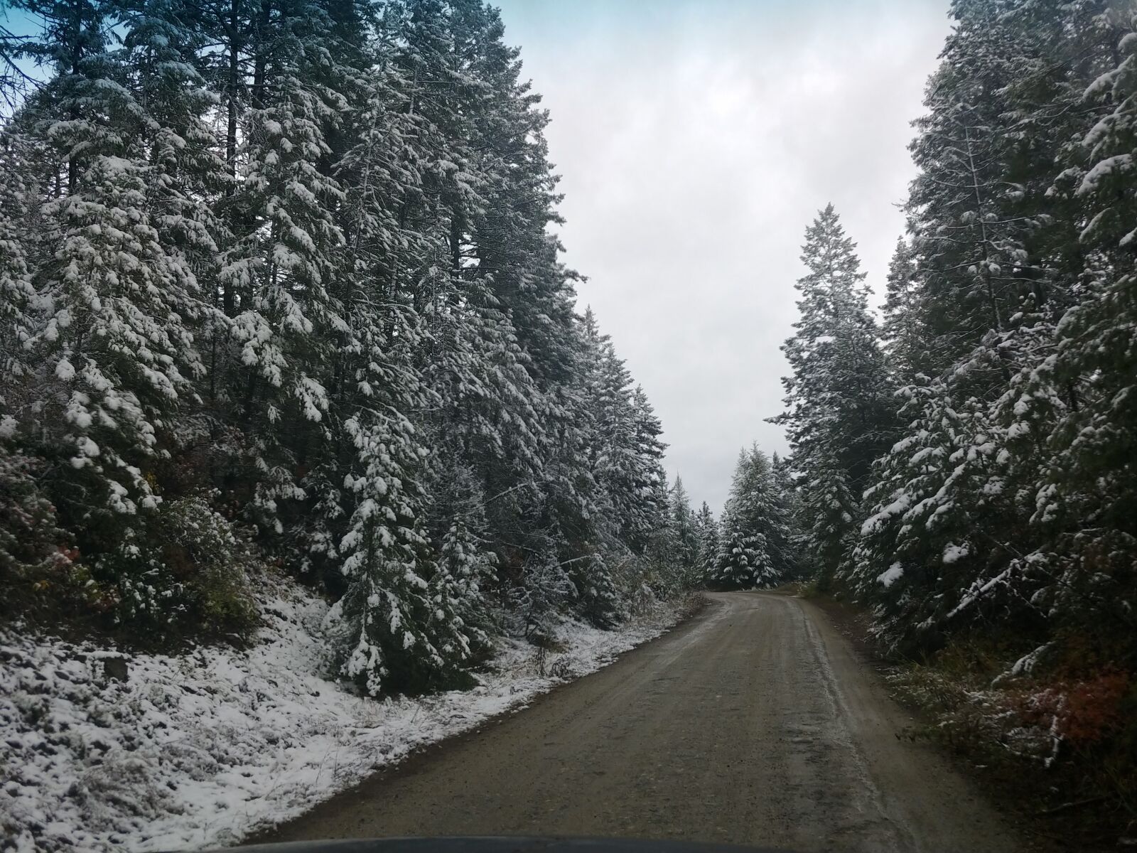 LG V30 sample photo. Snow, trees, dirtroad photography