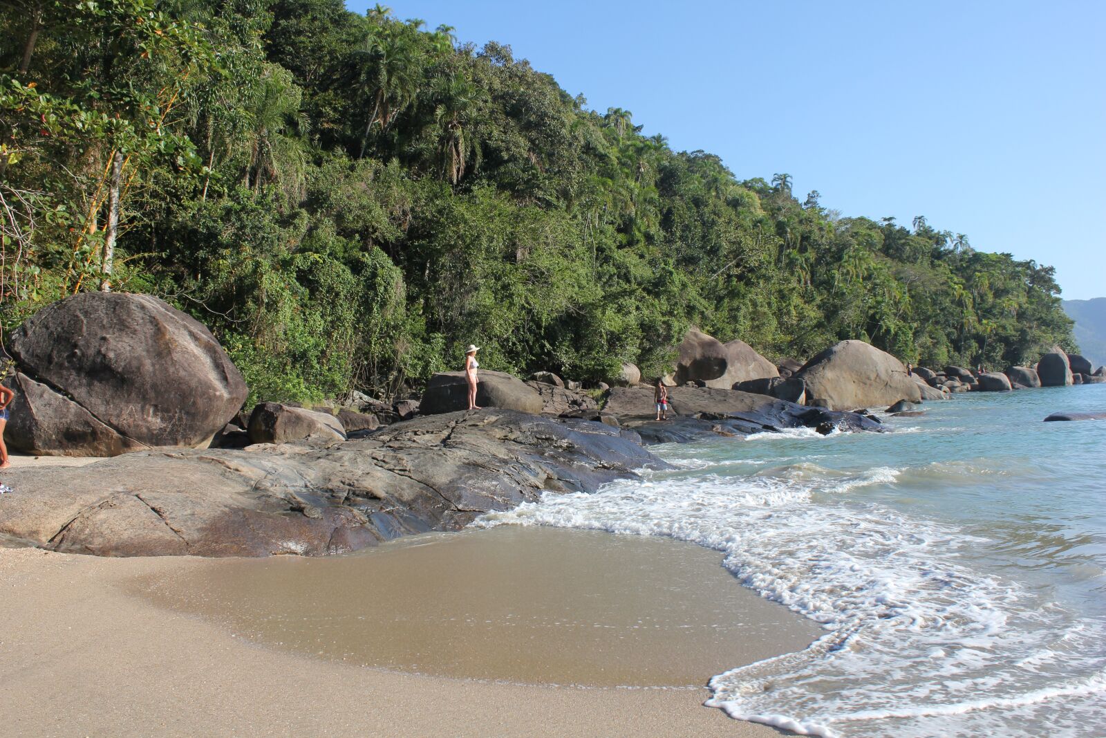Canon EOS 550D (EOS Rebel T2i / EOS Kiss X4) sample photo. Beach, brazilwood, side photography
