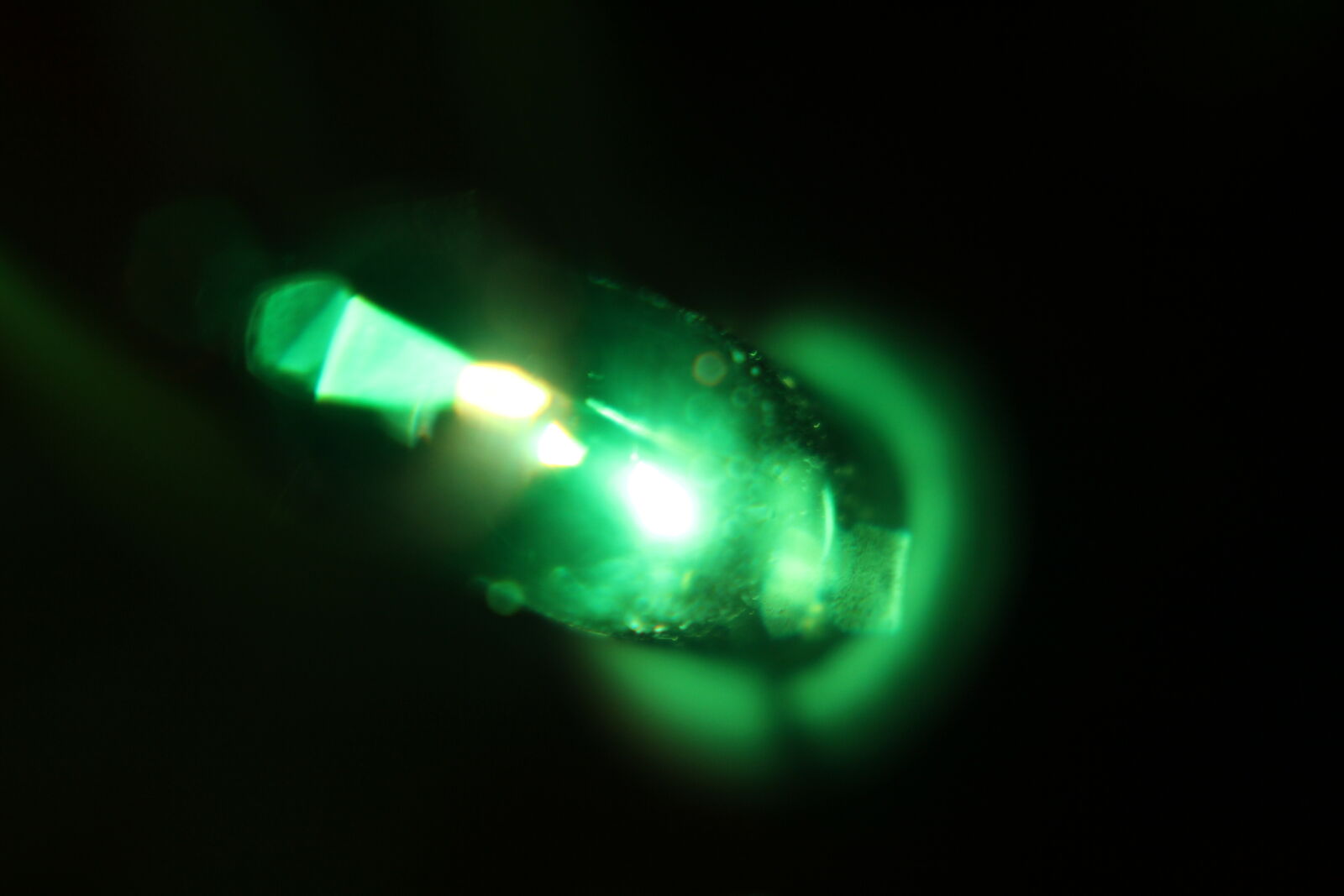 Canon EOS 60D + Canon EF 50mm F1.8 II sample photo. Blurred, christmas, green, light photography