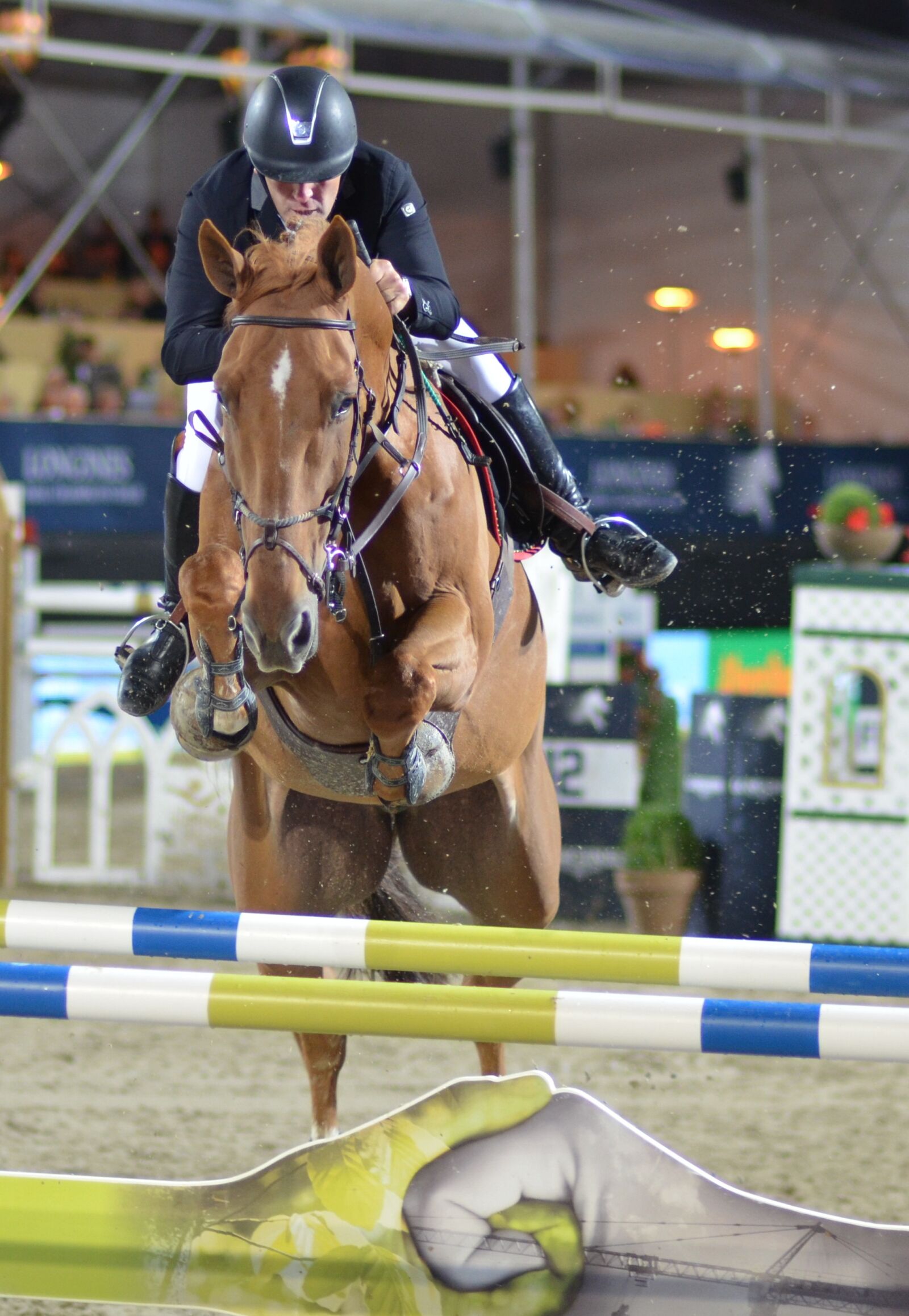 Nikon D7000 sample photo. Obstacle, show jumping, tournament photography