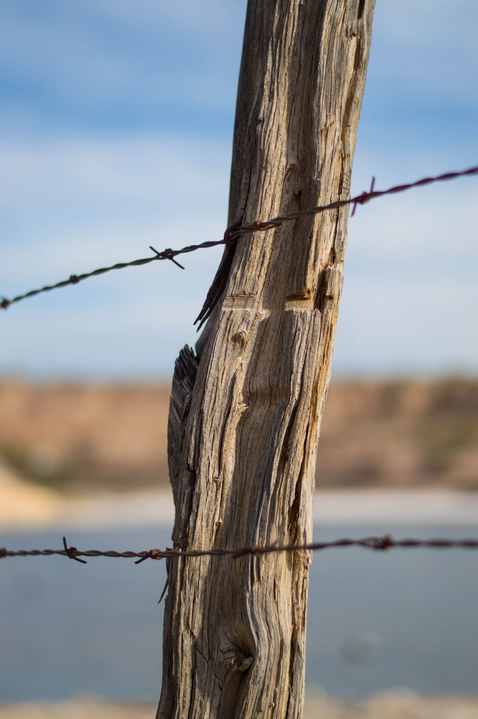 Nikon D3200 sample photo. Pile, fence post, stacheldrat photography