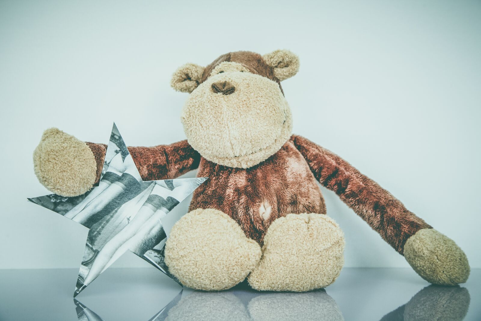 Canon EOS 5D sample photo. Animal, plush, stuffed animal photography
