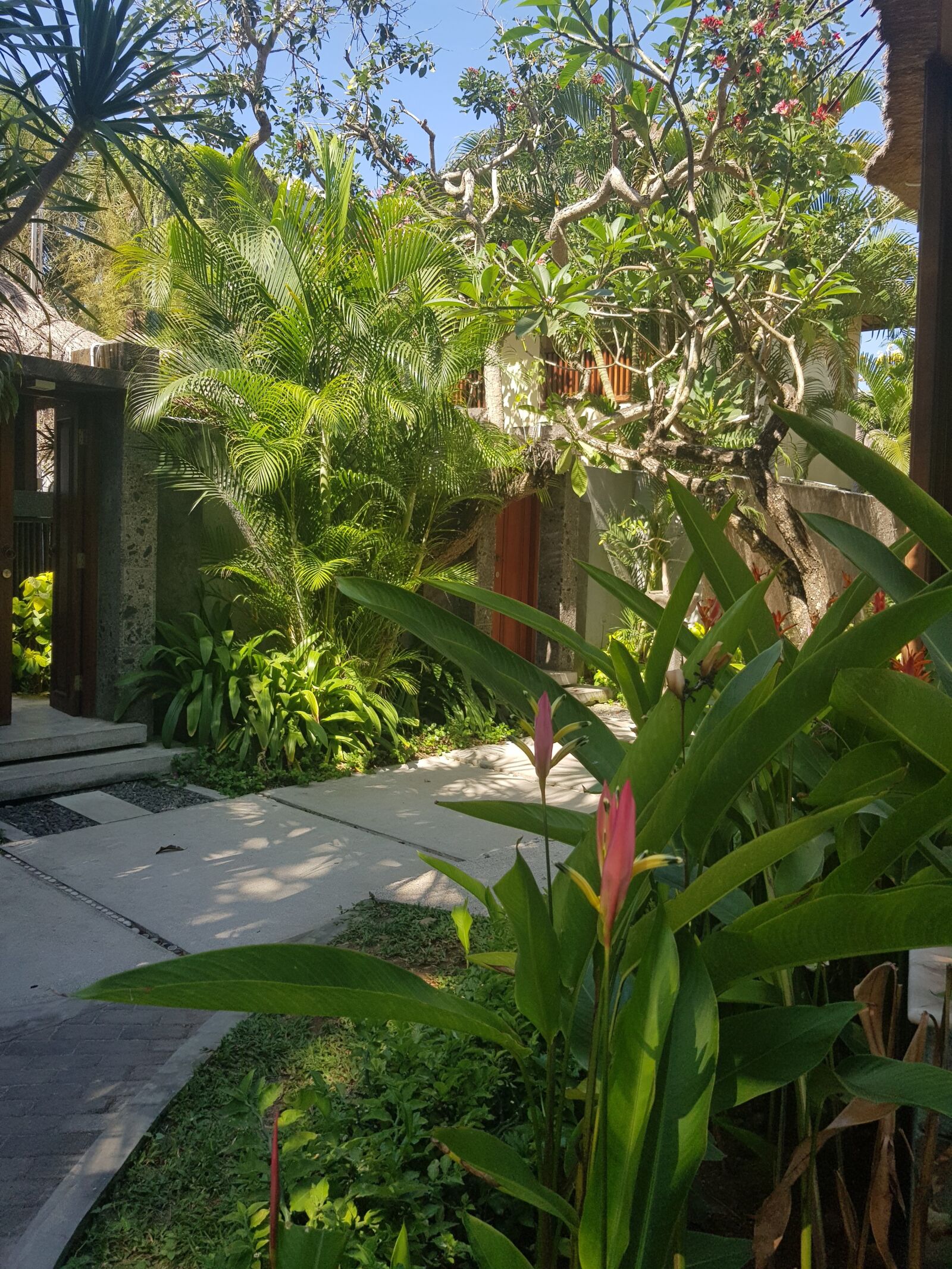 Samsung Galaxy S8 sample photo. Bali, tropical, indonesia photography
