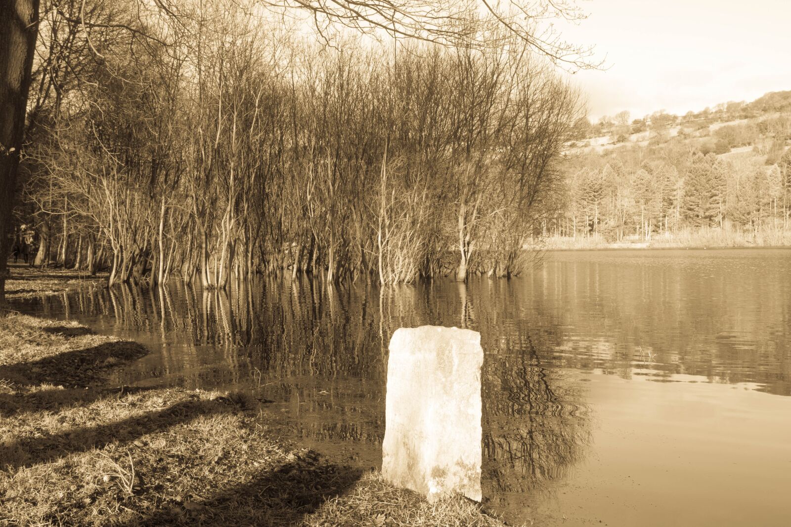 Canon EOS 1200D (EOS Rebel T5 / EOS Kiss X70 / EOS Hi) sample photo. Morehall reservoir, winter, water photography