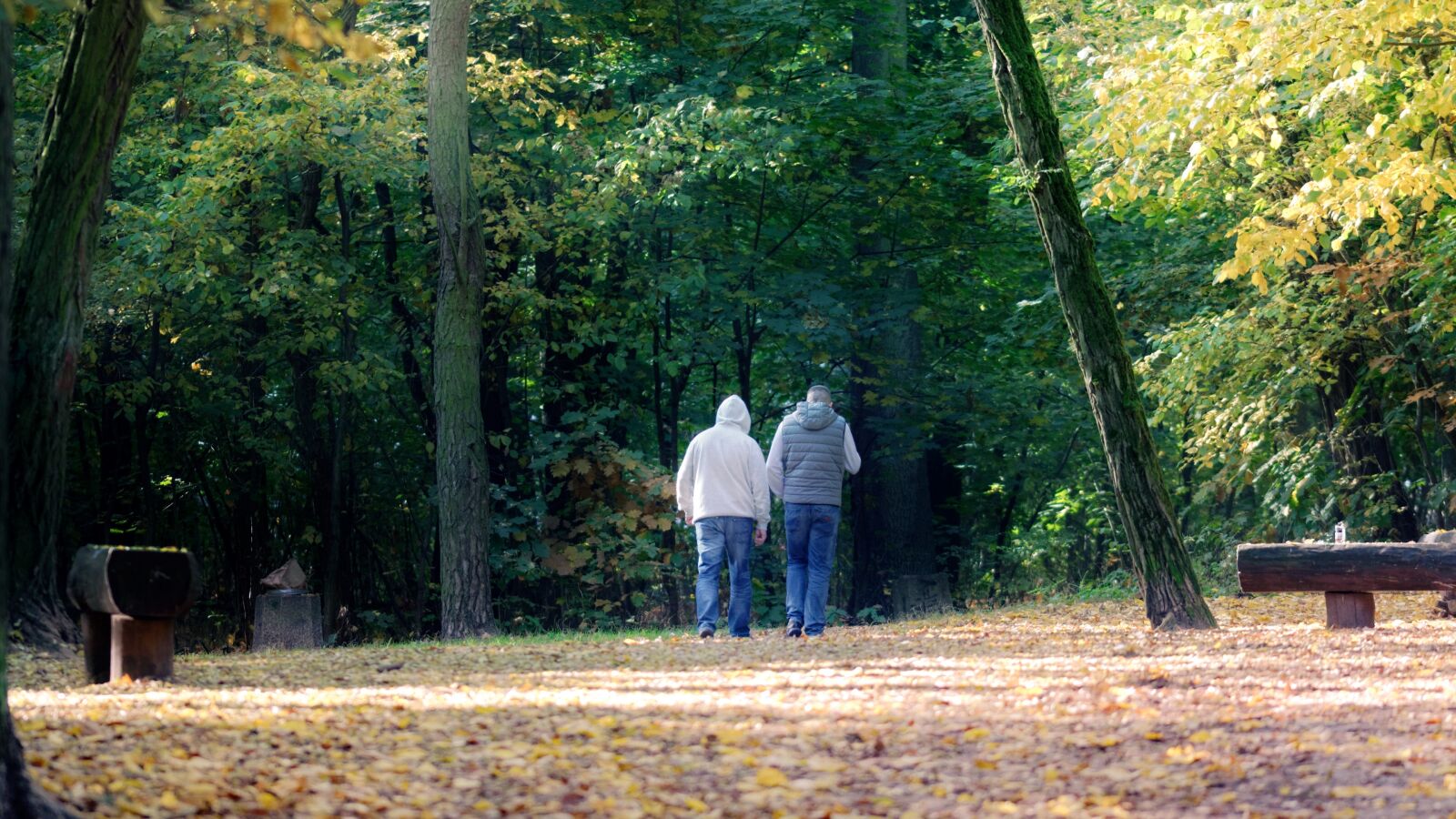 Nikon D5100 sample photo. People, going, forest photography