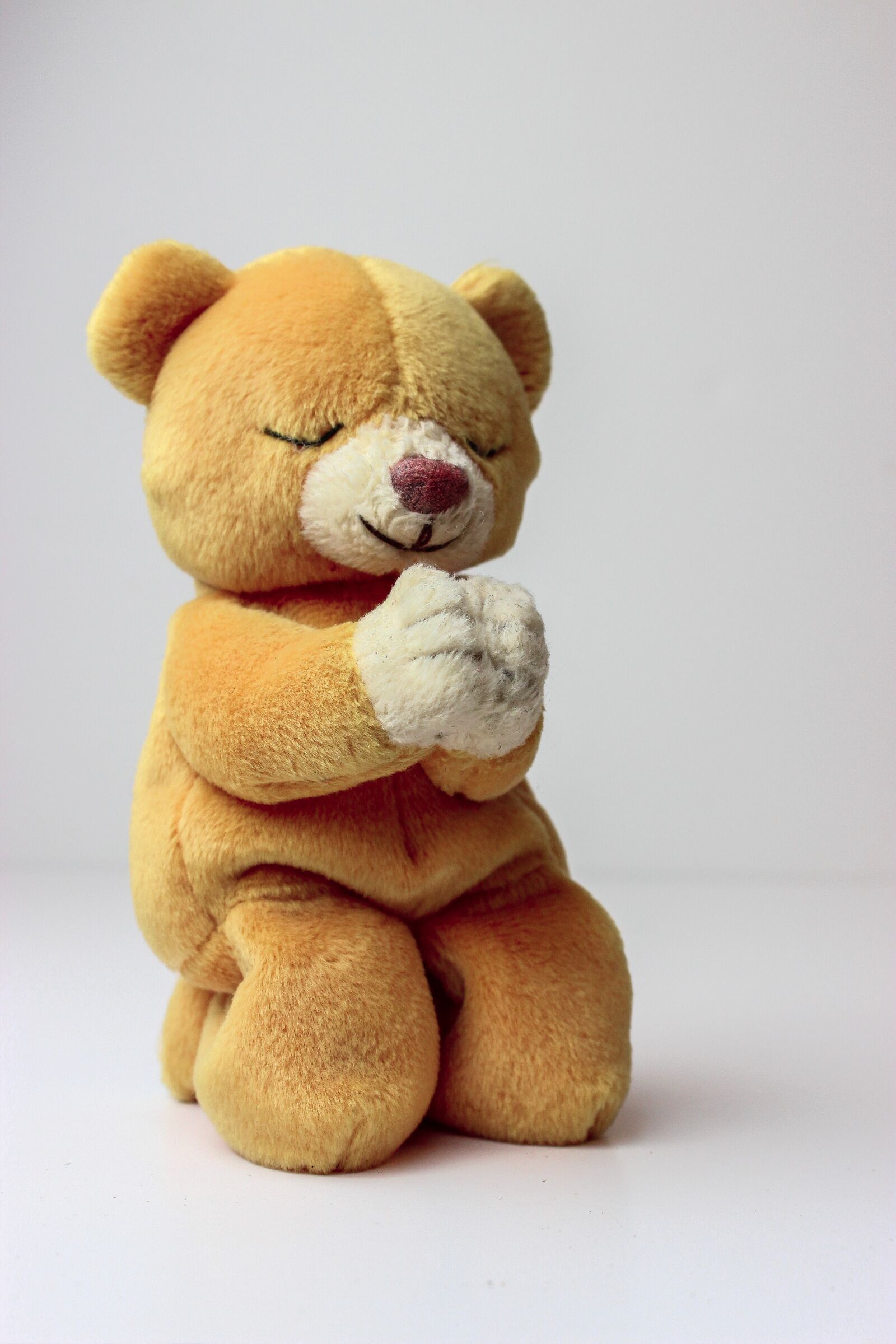 Canon EOS 600D (Rebel EOS T3i / EOS Kiss X5) sample photo. Teddy bear, beanie baby photography