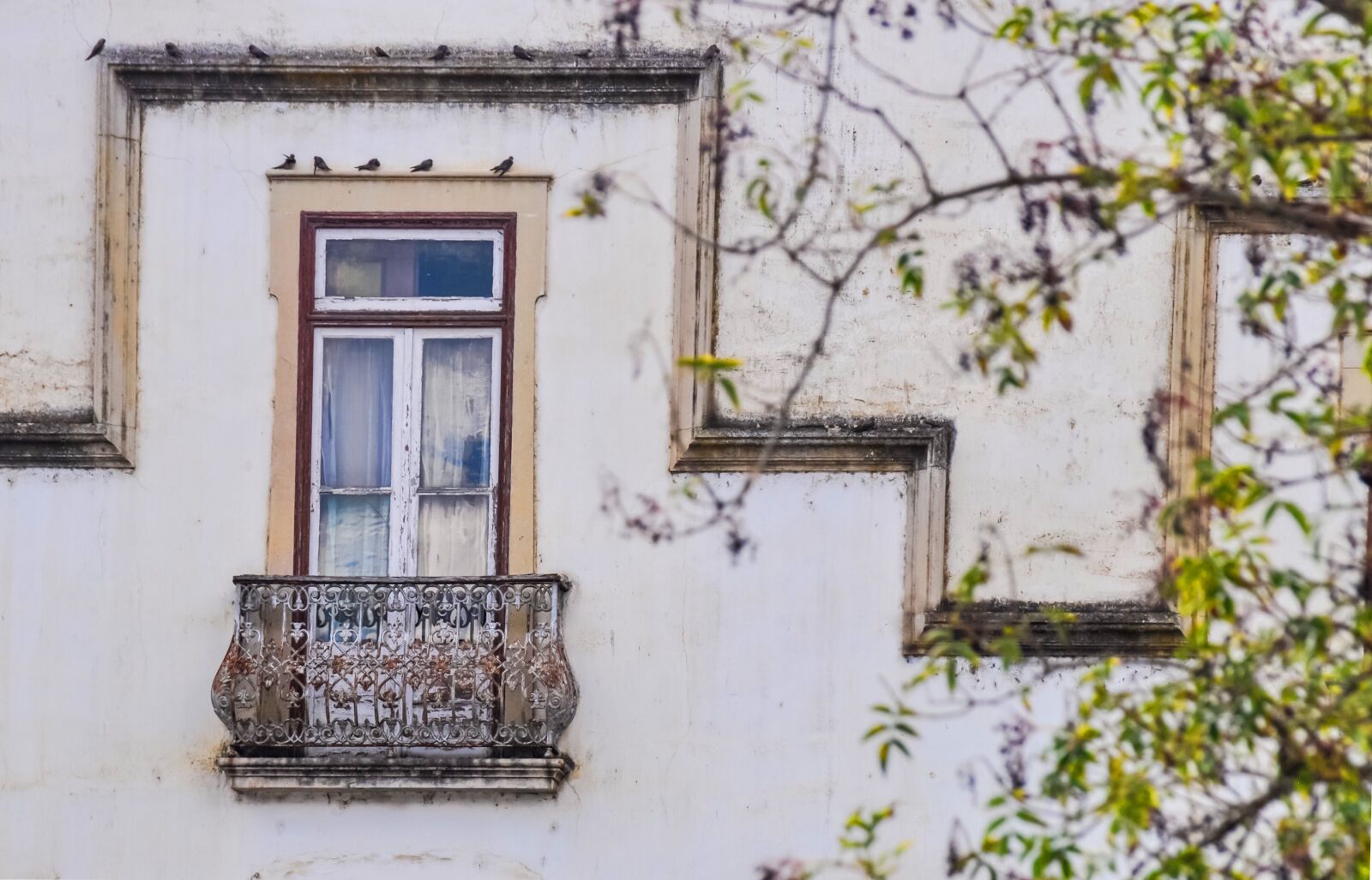 Nikon D90 sample photo. Window, old, vintage photography